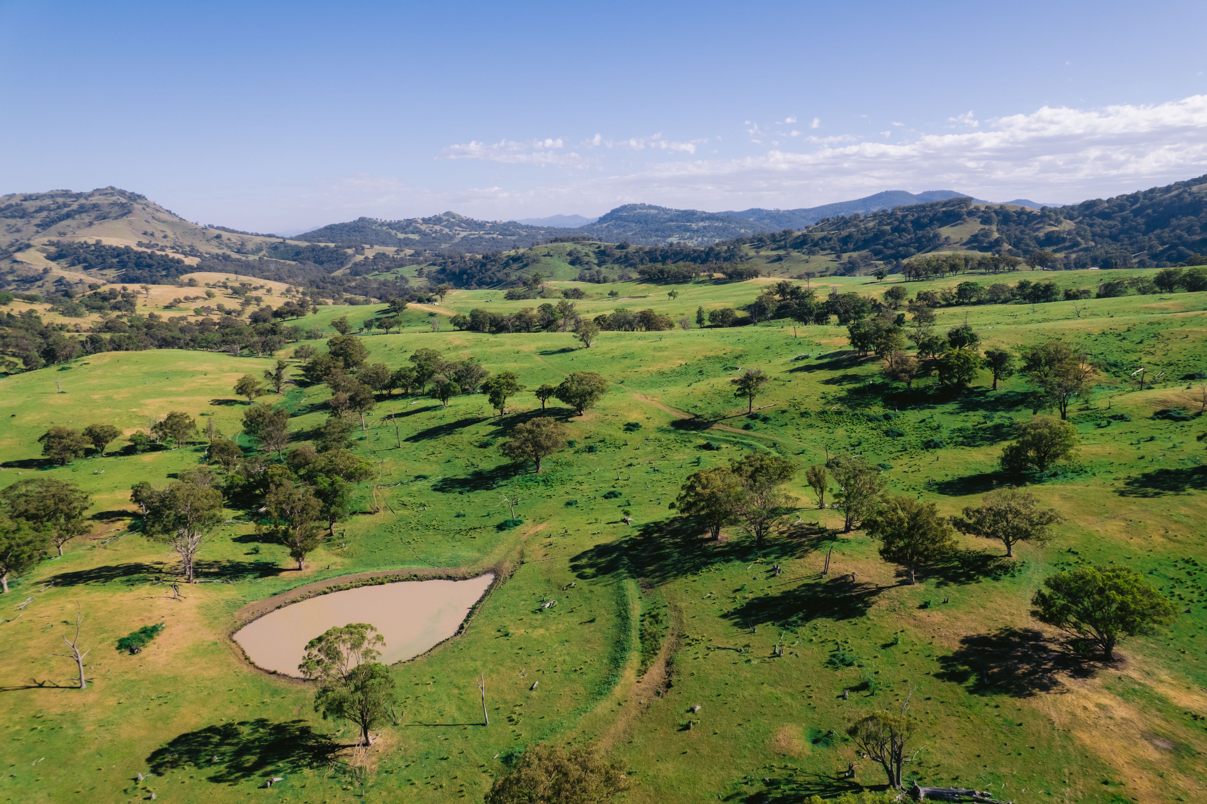 7390 New England Highway, Willow Tree, NSW 2339
