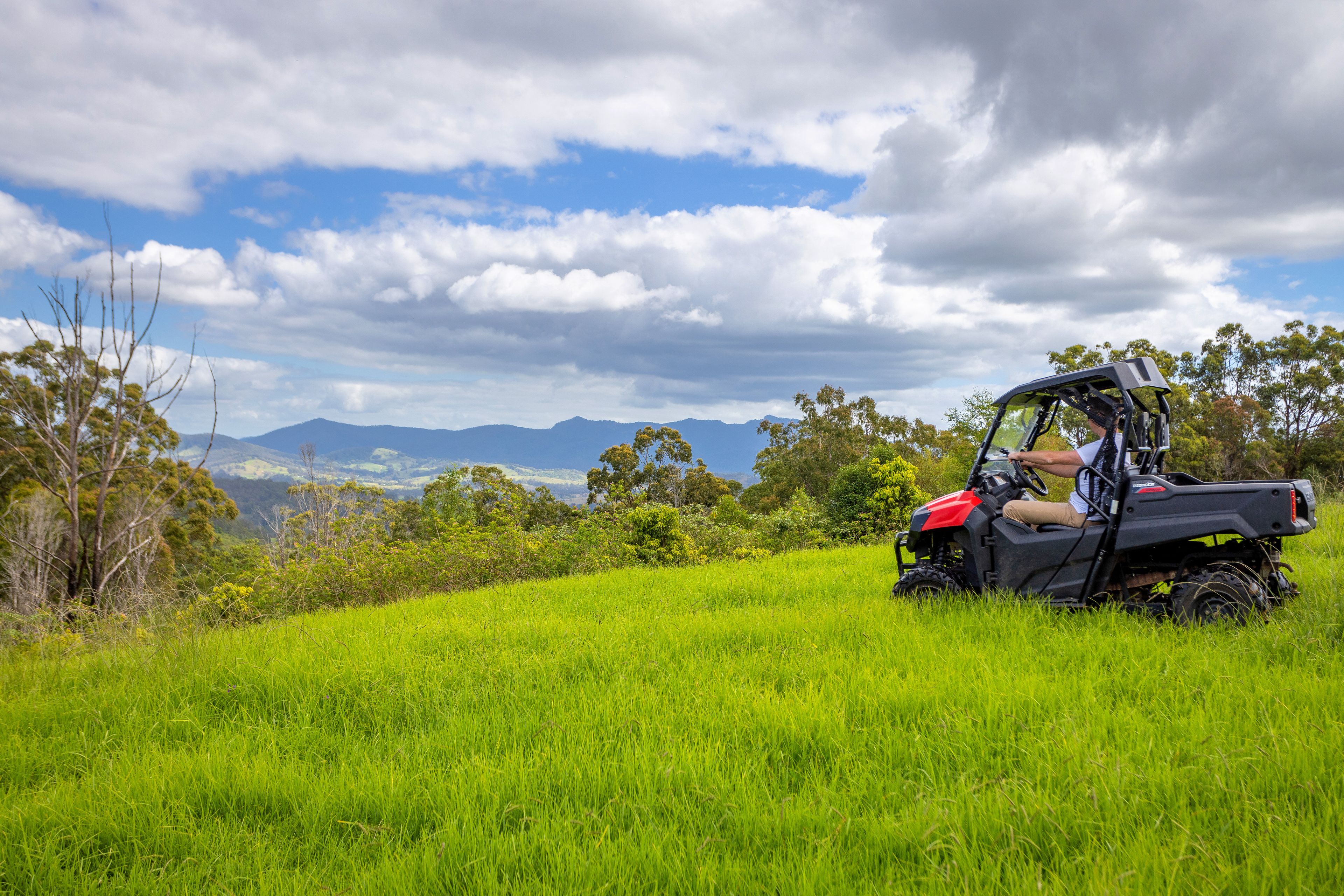 281 Wallaby Joe Road, Wingham, NSW 2429 Rural Mixed Farming Property