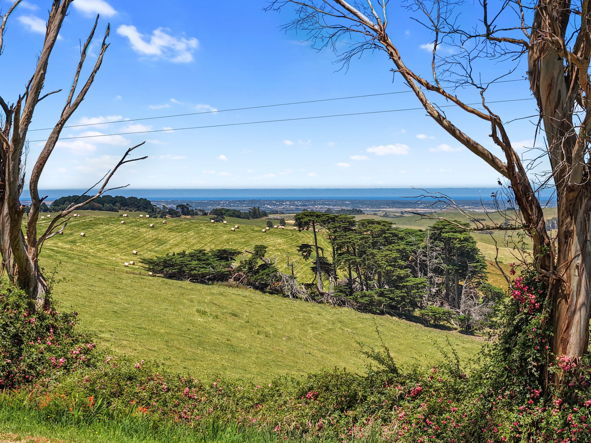 1096 Glen Alvie Road, Glen Alvie, VIC 3979