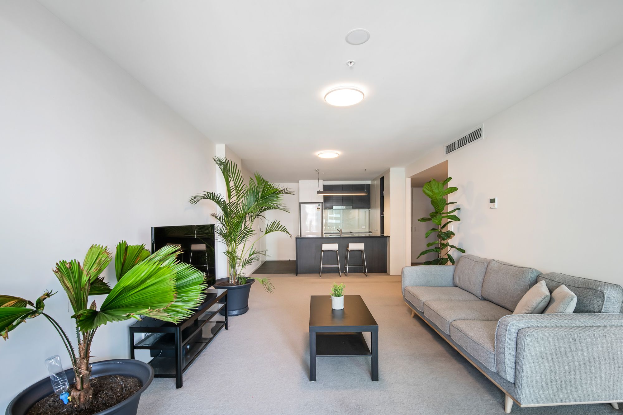 709/30 Festival Place, Newstead, QLD 4006