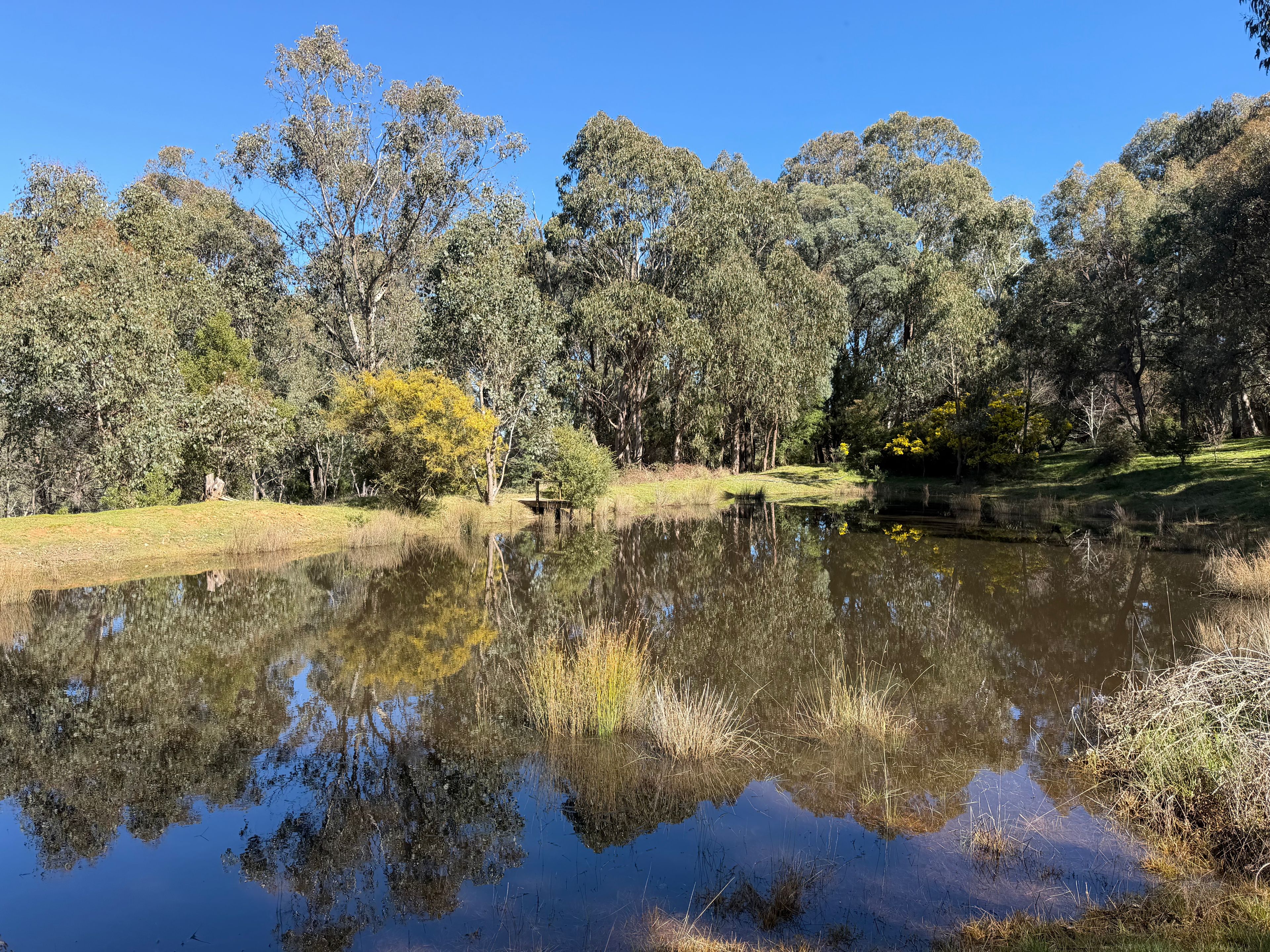 64 Bromfield Drive, Tolmie, VIC 3723