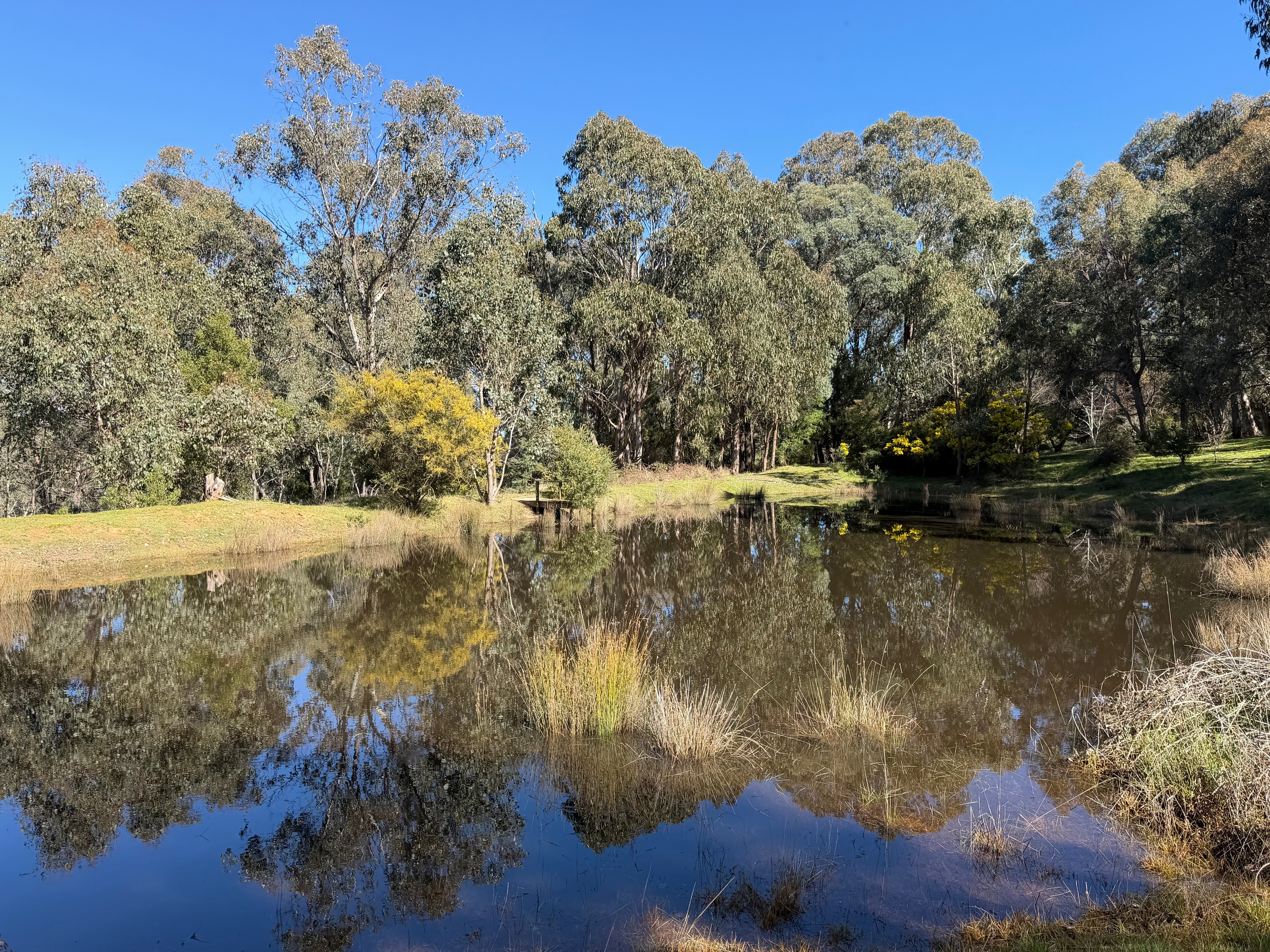 64 Bromfield Drive, Tolmie, VIC 3723