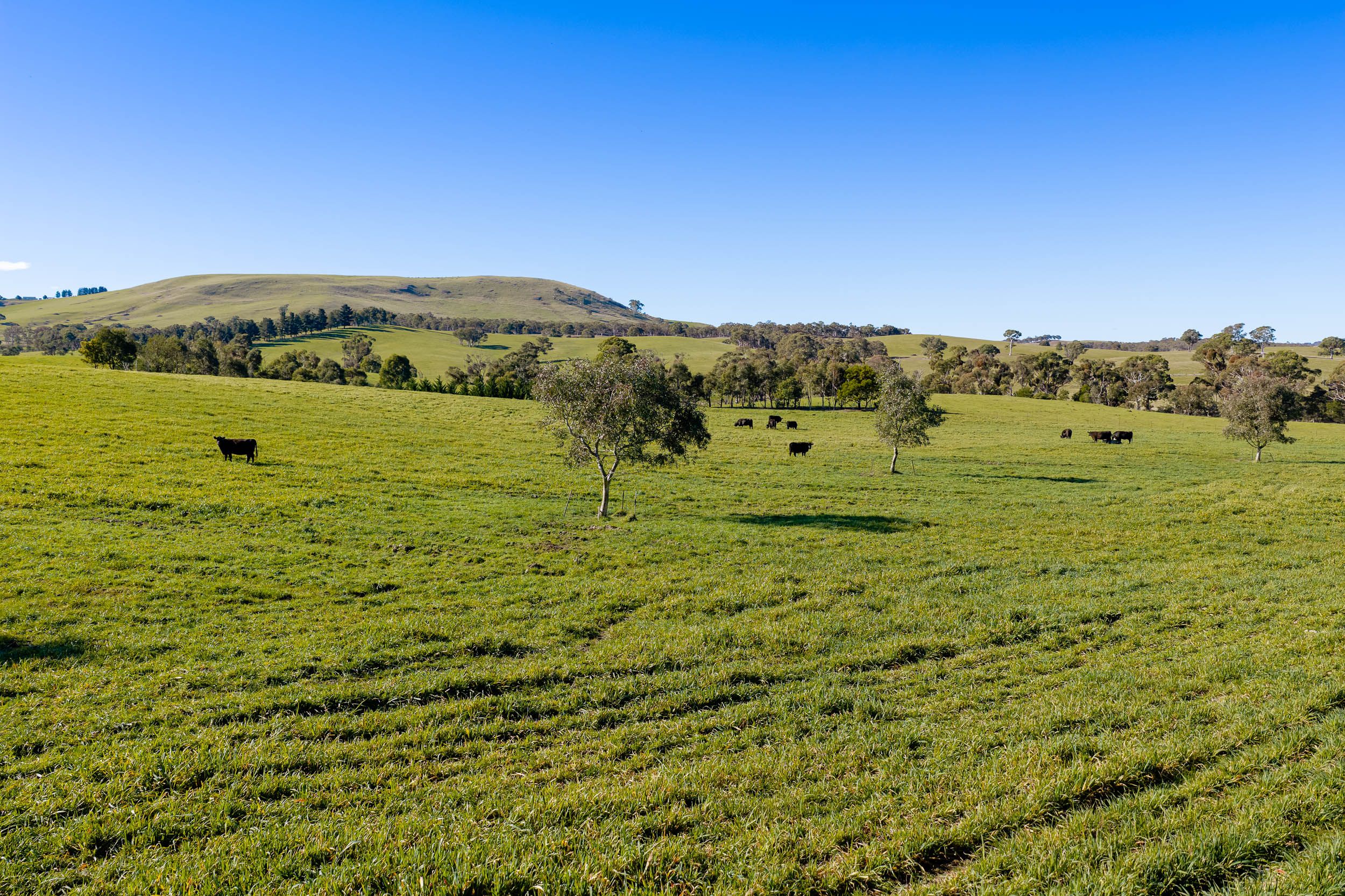 1706 Crookwell Road, Wayo via — photo 5 of 20