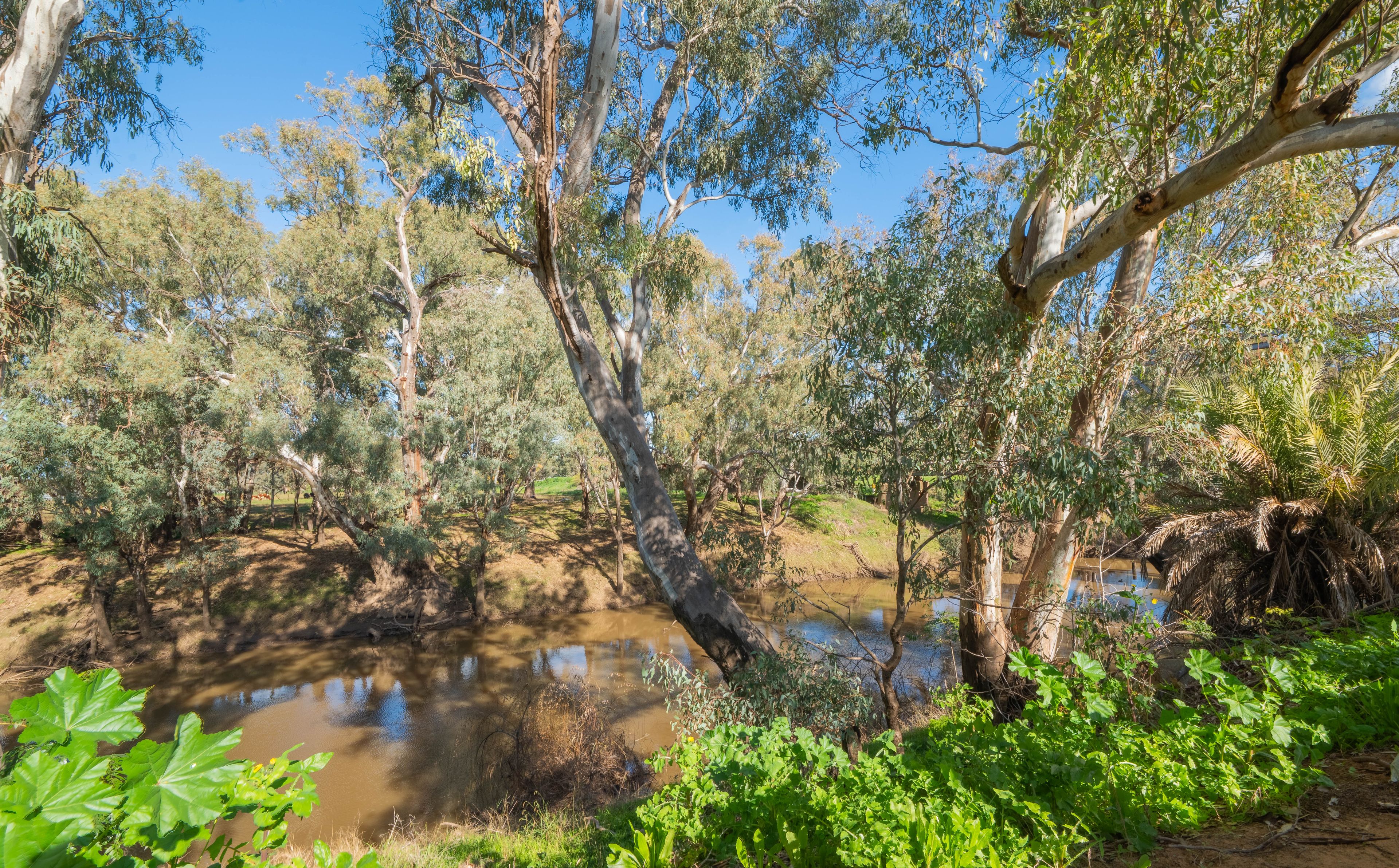 289 Lower Bathurst Street, Forbes, NSW 2871