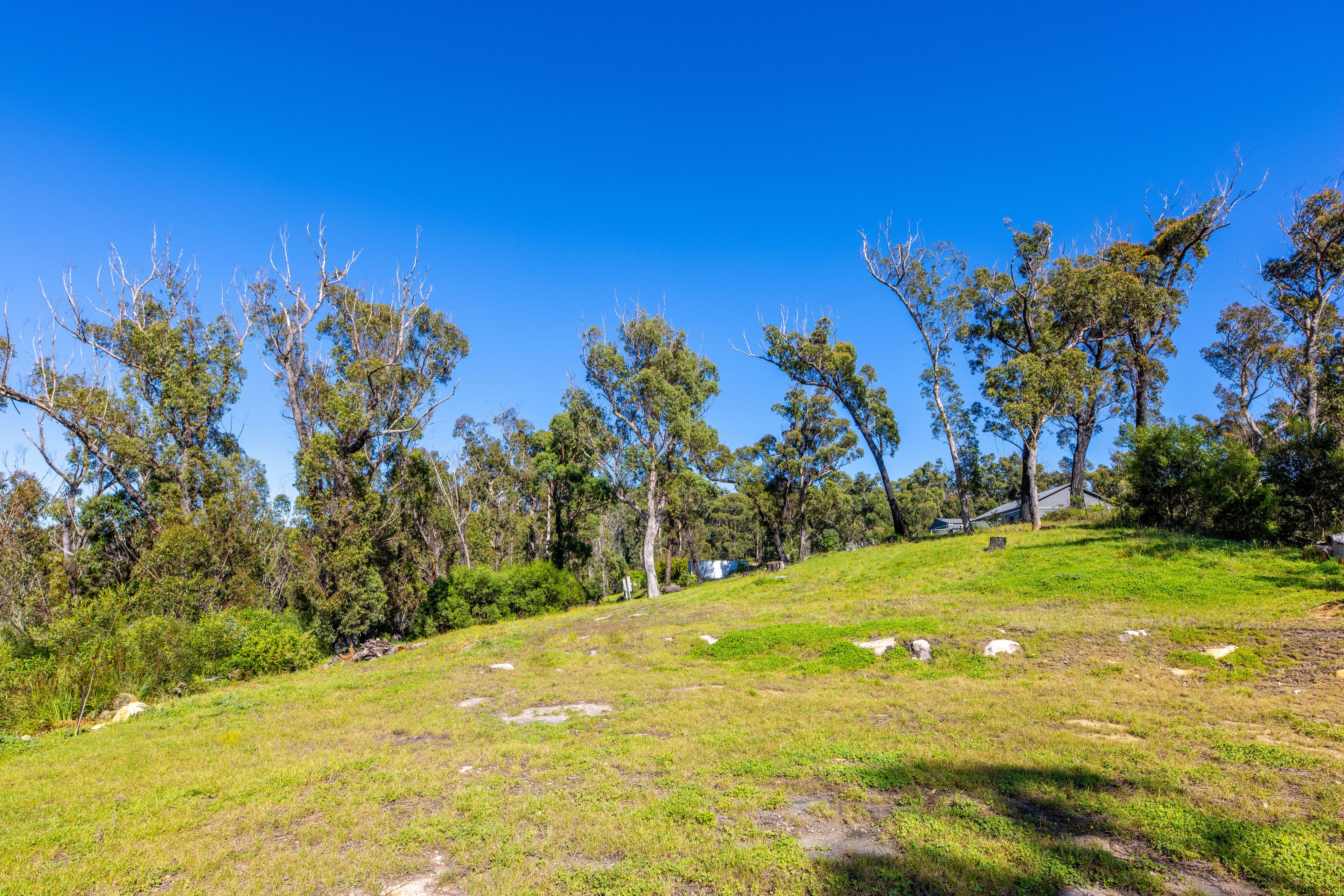 Lot 4 Braidwood Road — photo 9 of 17