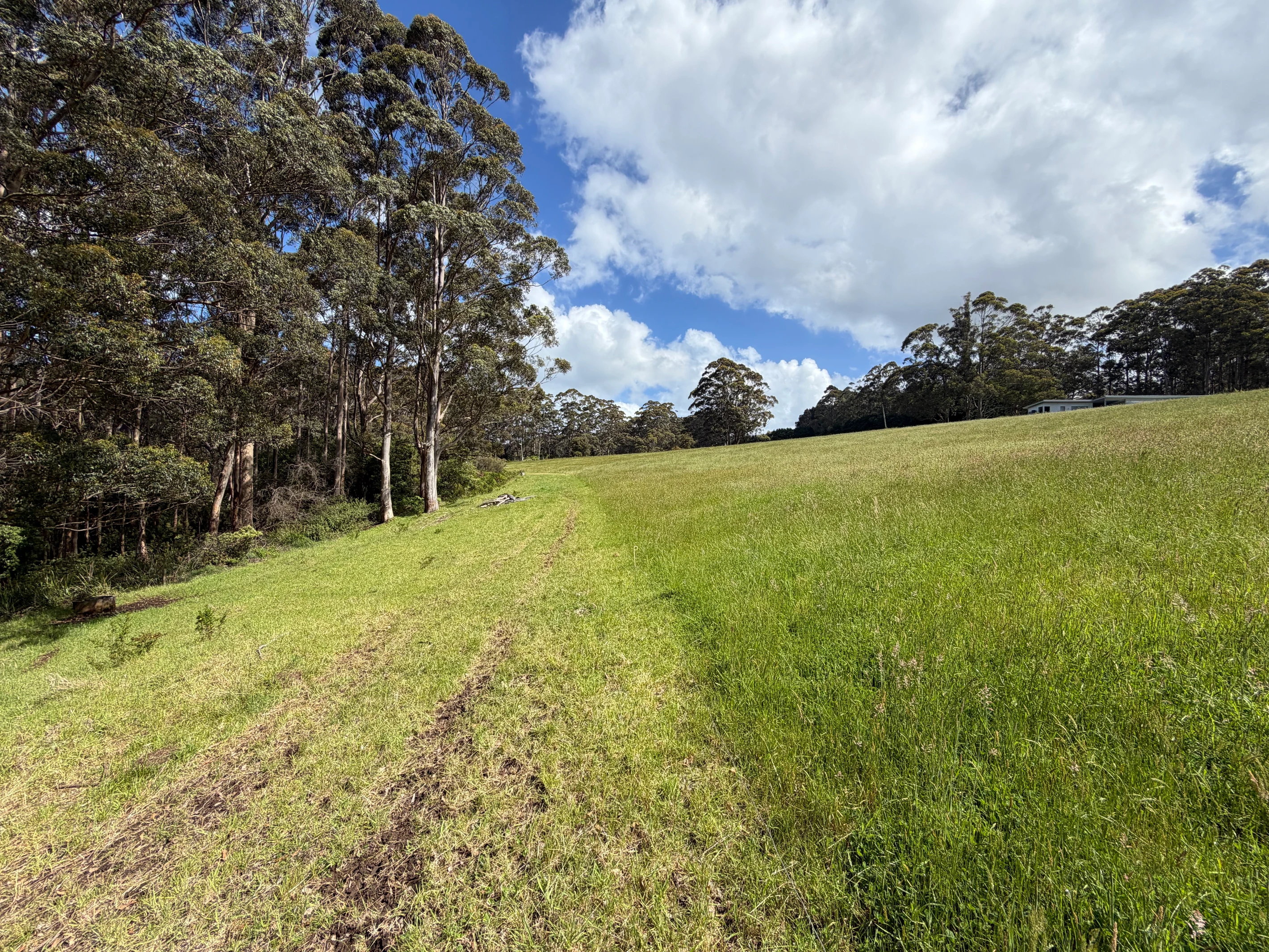47 Pittam Way, Shadforth, WA 6333