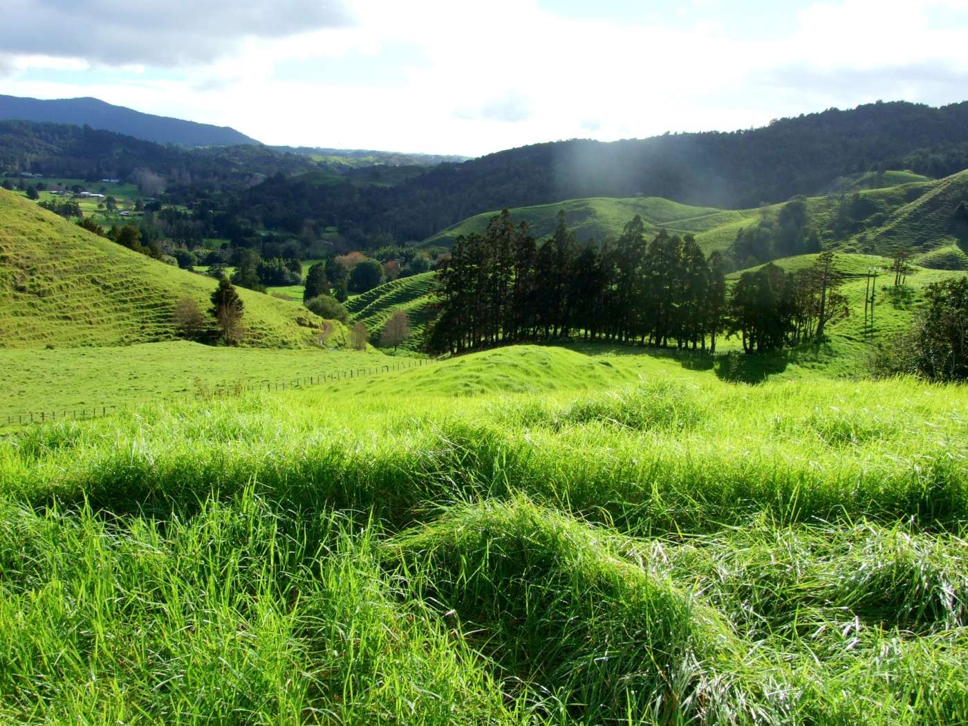 185 Takahue Saddle Road photo 5