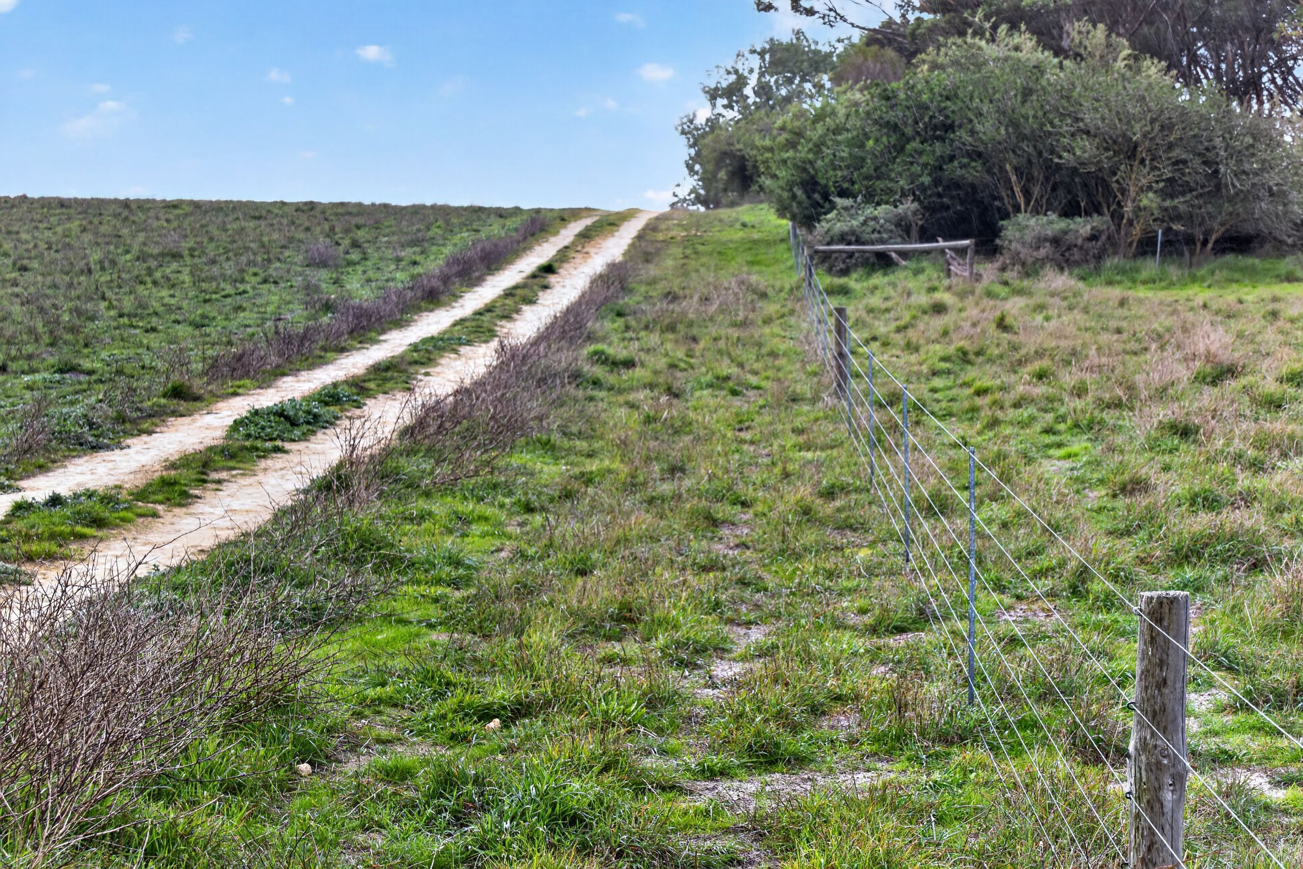 'Folly Farm' Riddell Road — photo 14 of 22