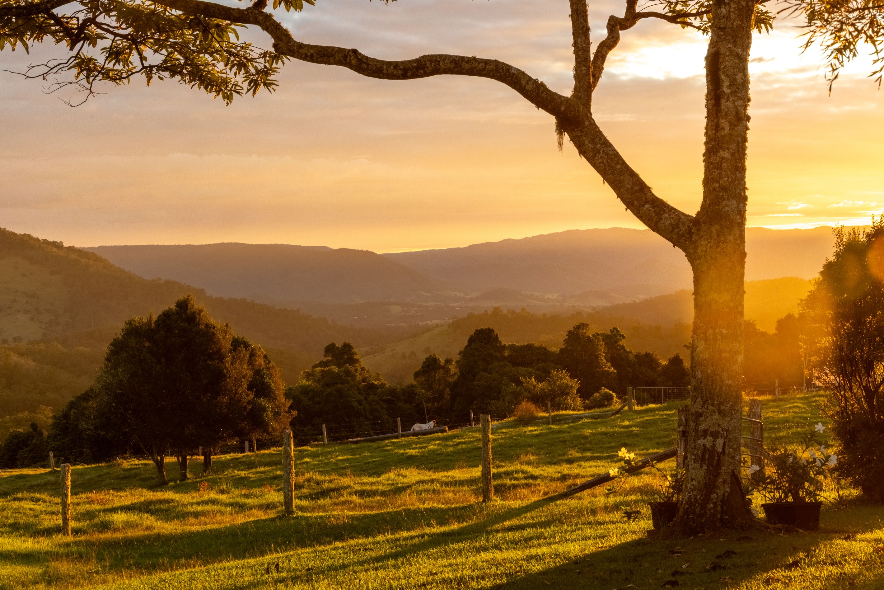 525 Maleny Kenilworth Road, Witta, QLD 4552