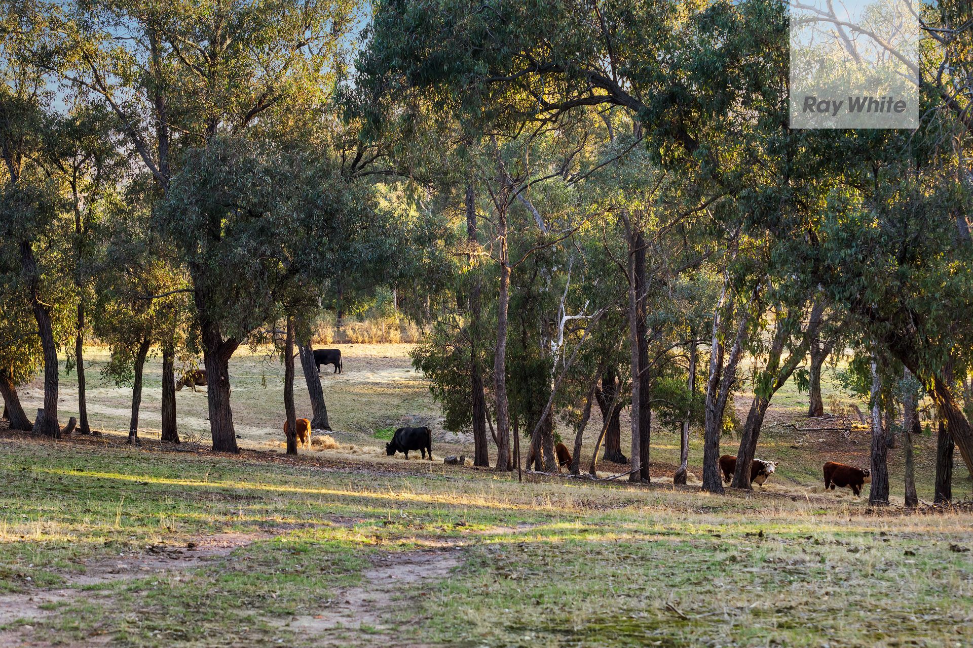 Corner Flat Rock Road and Watery Gully Road, Kangaroo Ground, VIC 3097
