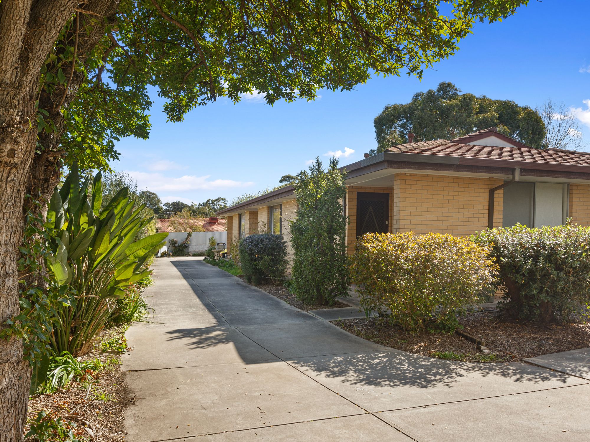 2/301 Main South Road, Morphett Vale, SA Home For Sale • Ray White