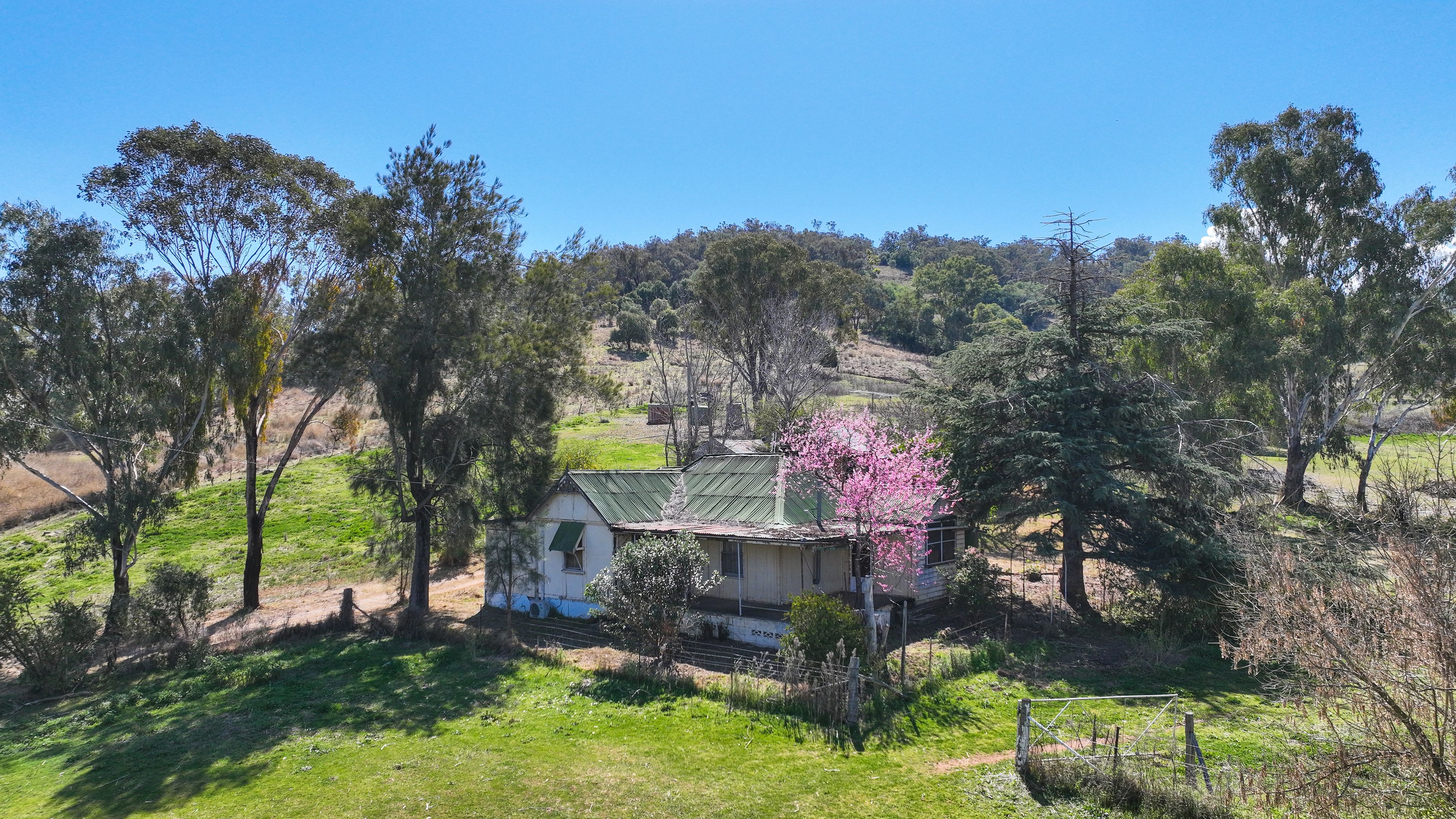 113 Ogunbil Road, Dungowan, NSW 2340 Sold Rural Lifestyle Property