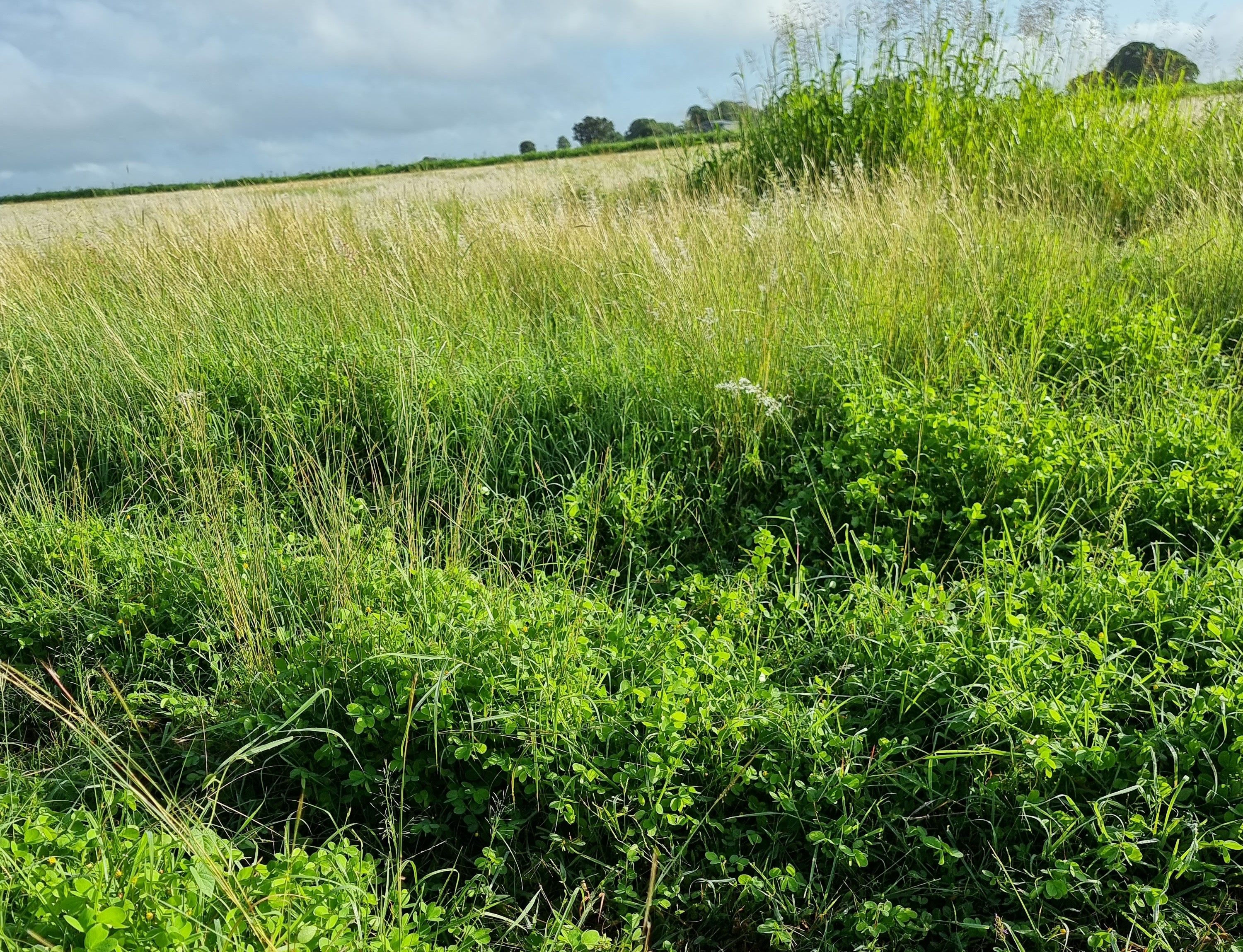Lot 125 Mount McEuen Road, Mount McEuen, Wondai, QLD 4606 Rural