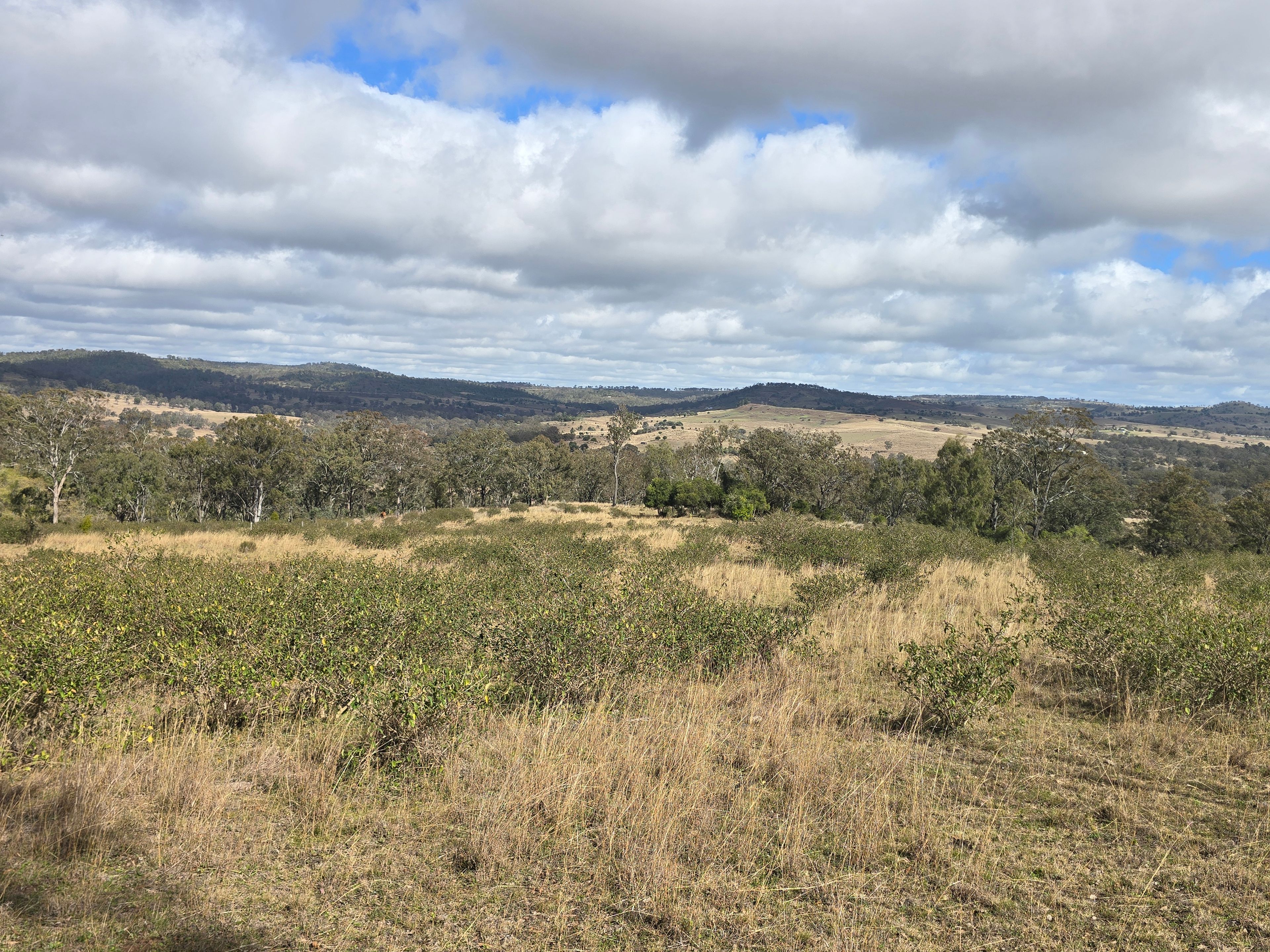Lot 314 New England Highway — photo 12 of 14