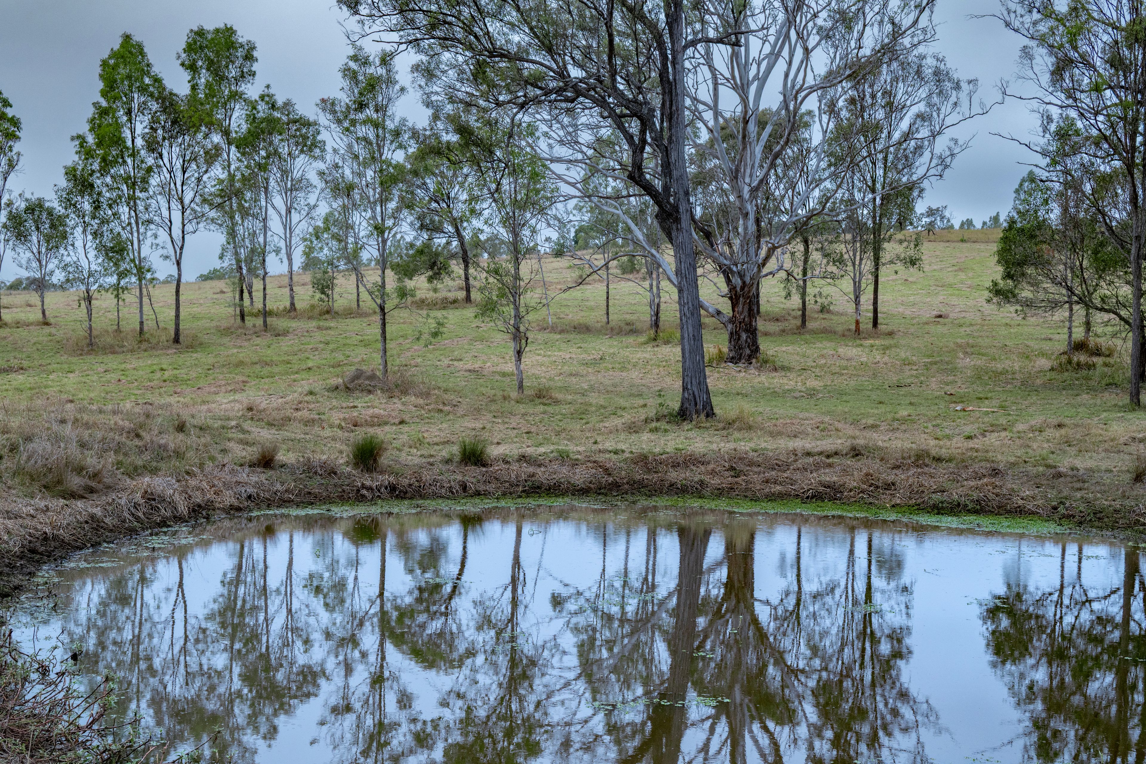 0 Cunningham Highway — photo 10 of 22