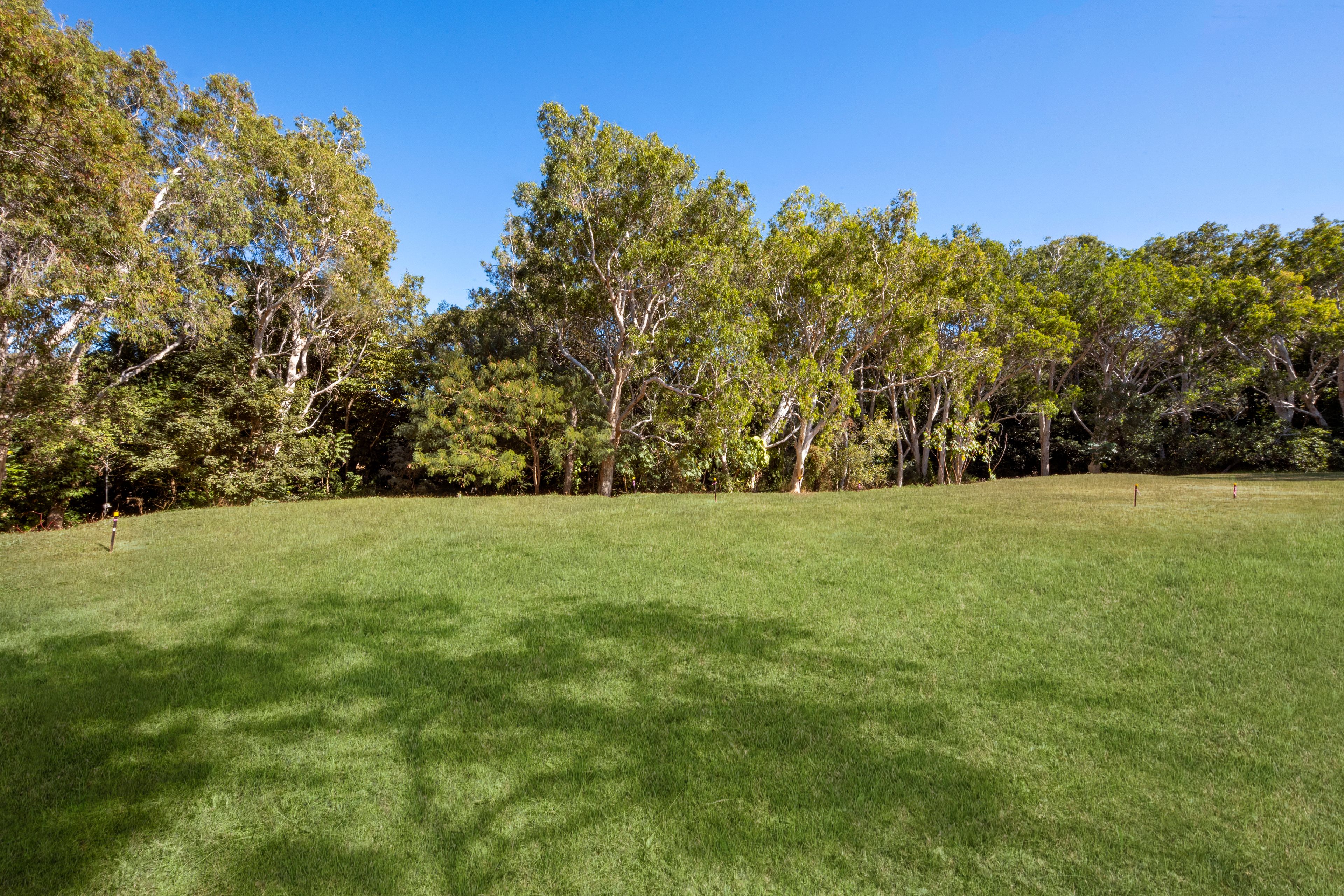30-32 Birt Street — photo 8 of 12