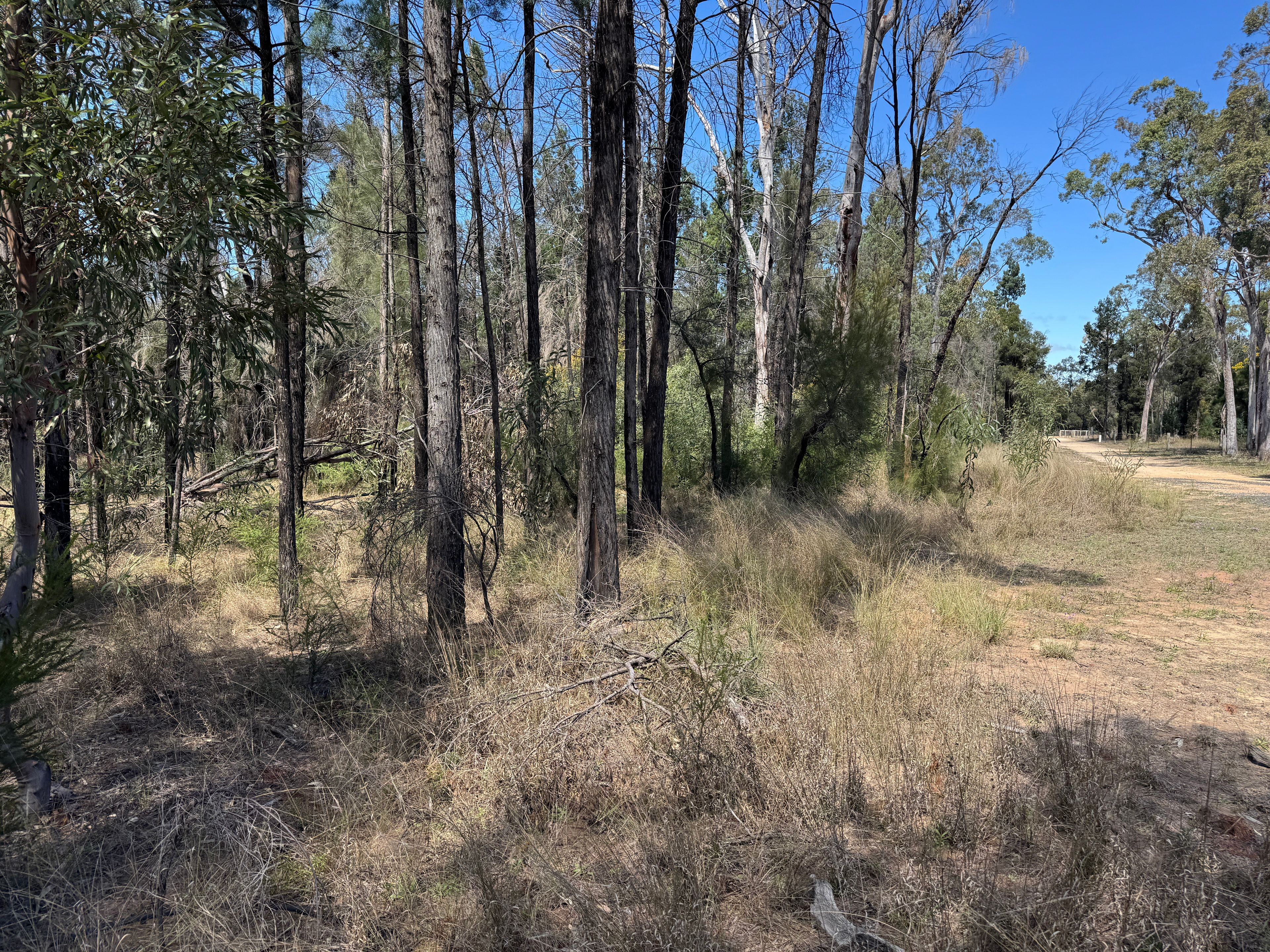 Lot 22 Ducklo-Gulera Road, DUCKLO, QLD 4405