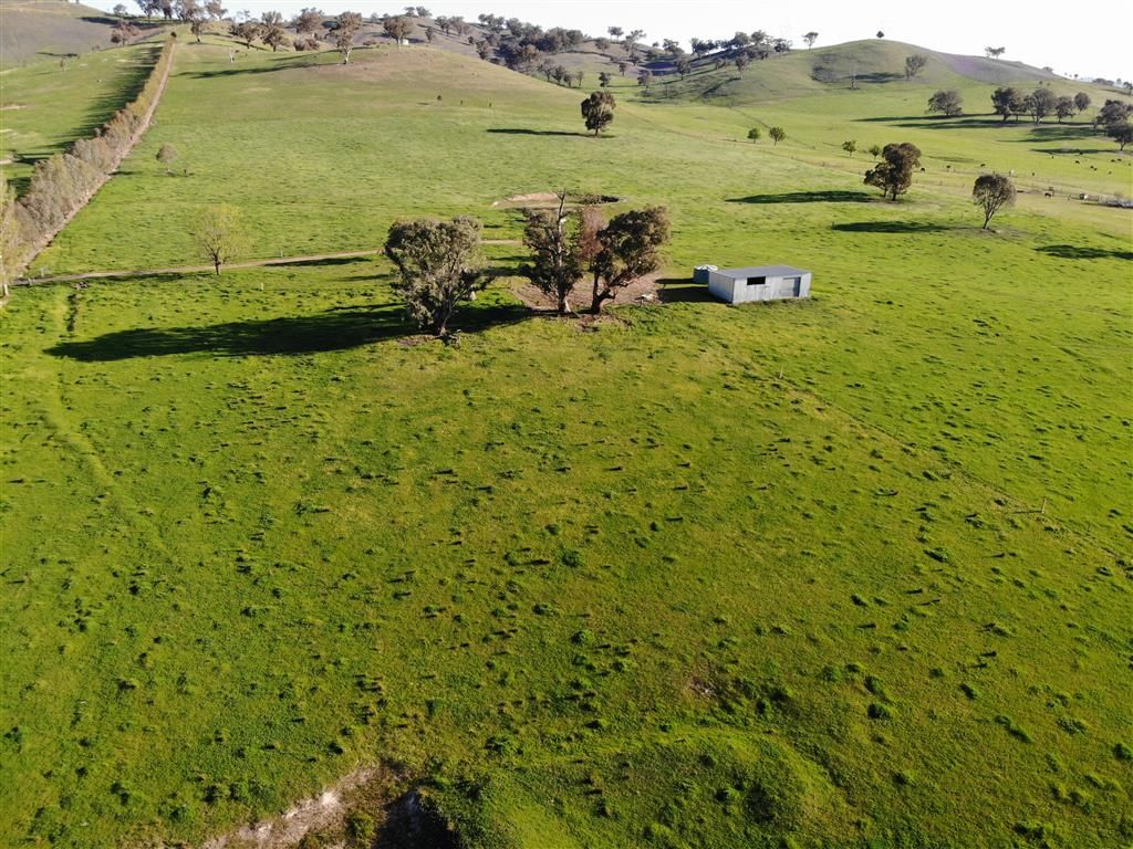 920 Bombowlee Creek Road, Tumut, NSW 2720