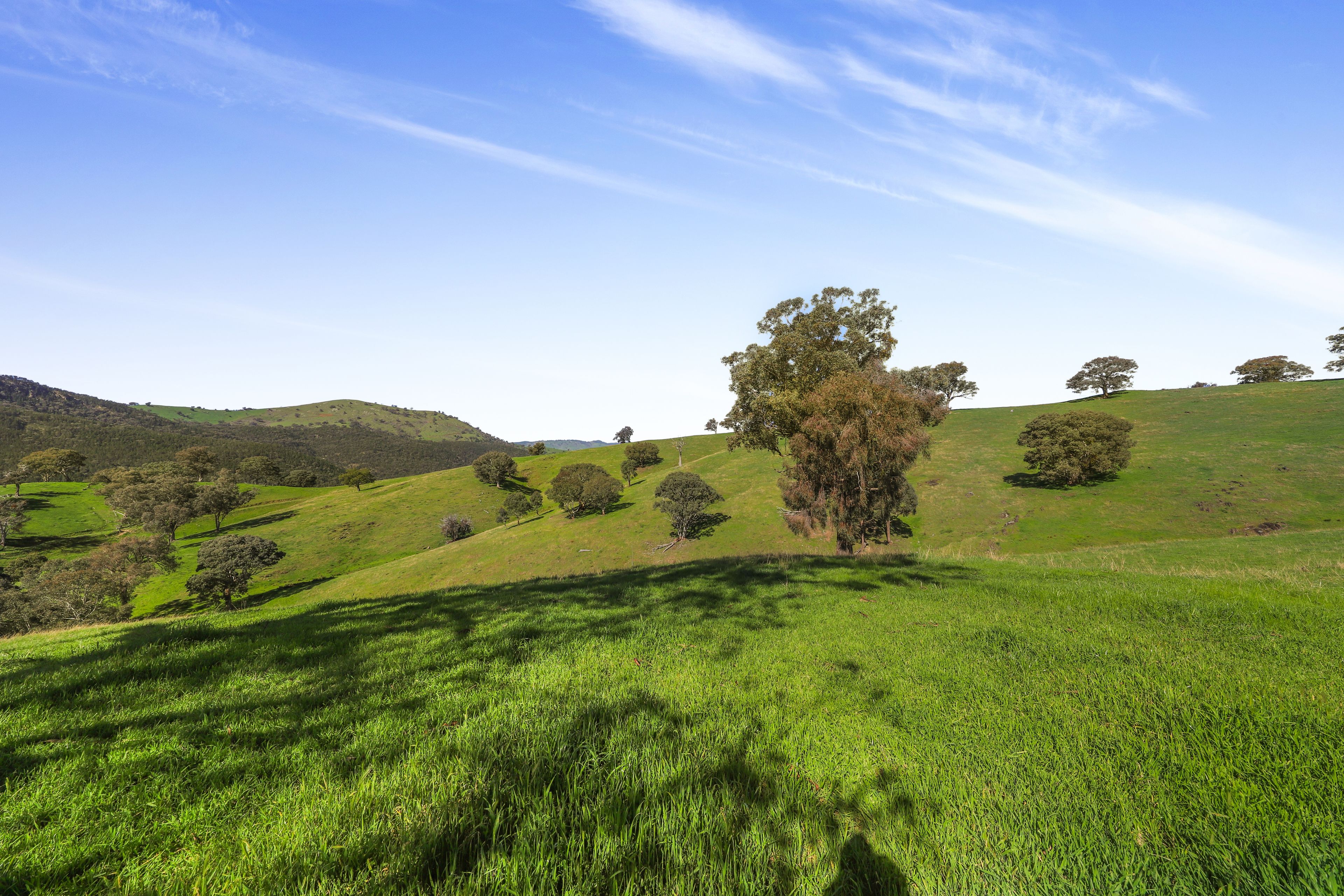Lot 6 & 7 Brungle Road — photo 10 of 12