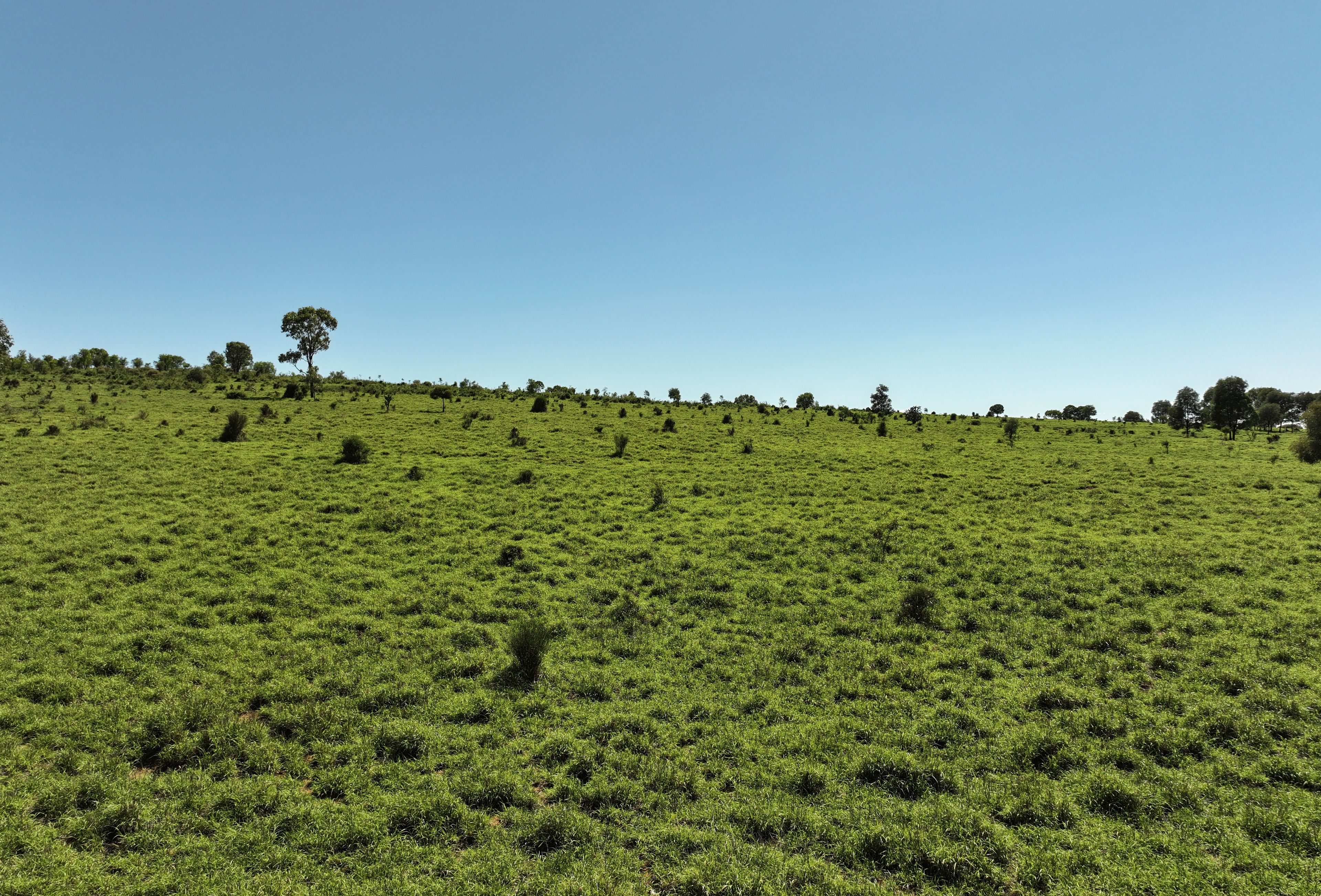 3752 Mitchell Forest Vale Road, Mitchell, QLD 4465