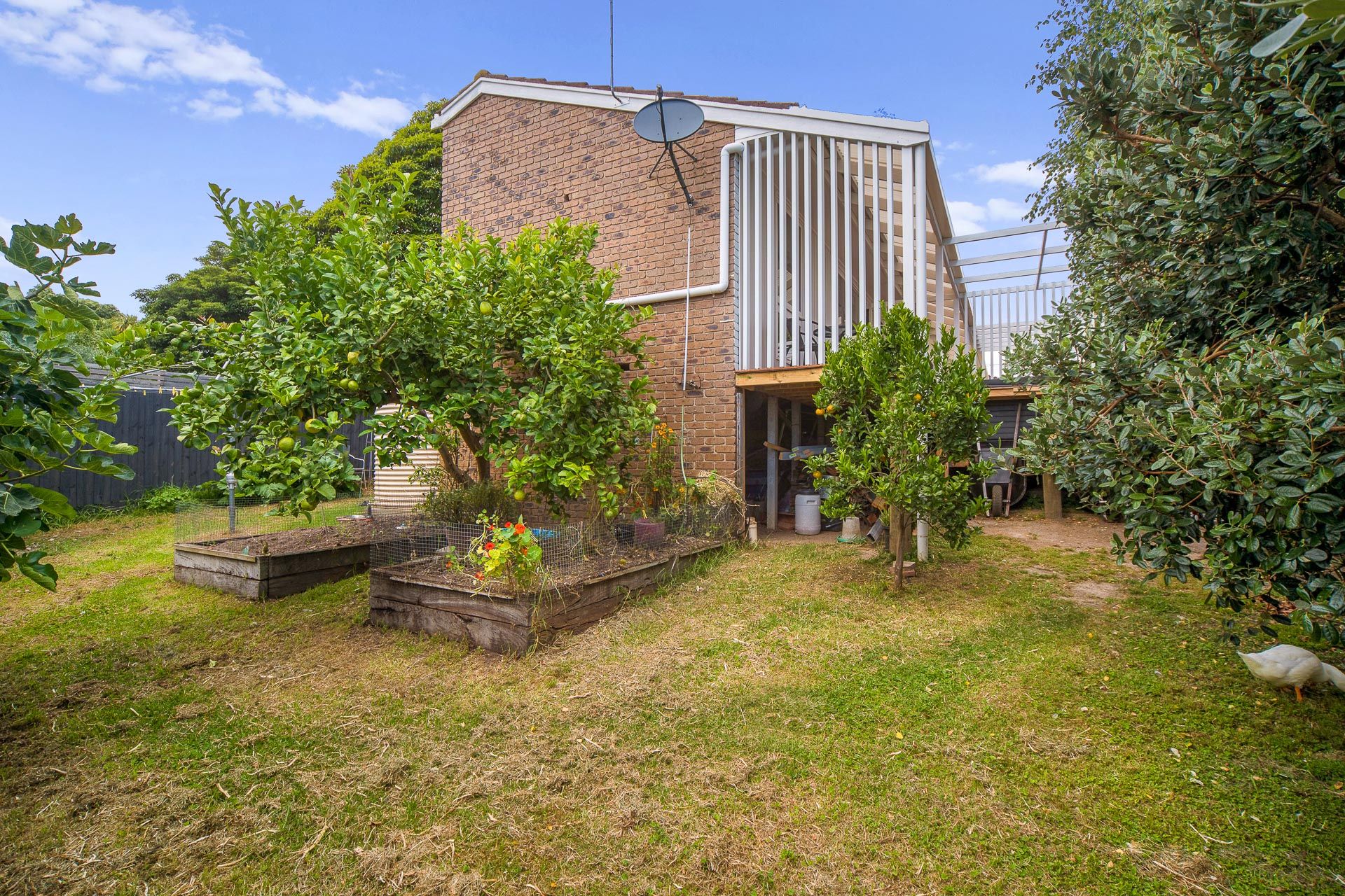 49 Eliza Drive — photo 18 of 18