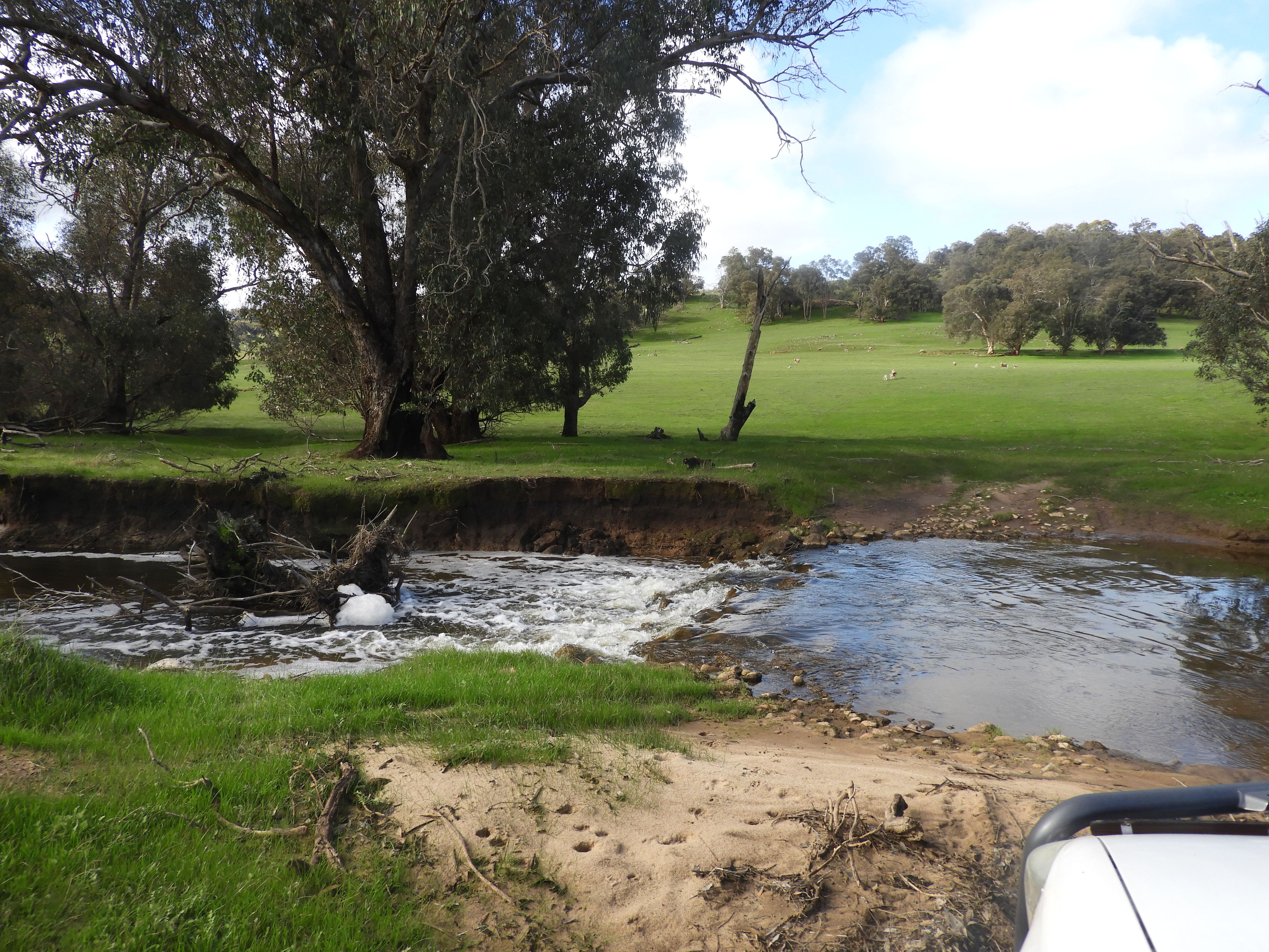 Kyellen Farm, Quindanning-Darkan Road — photo 18 of 30