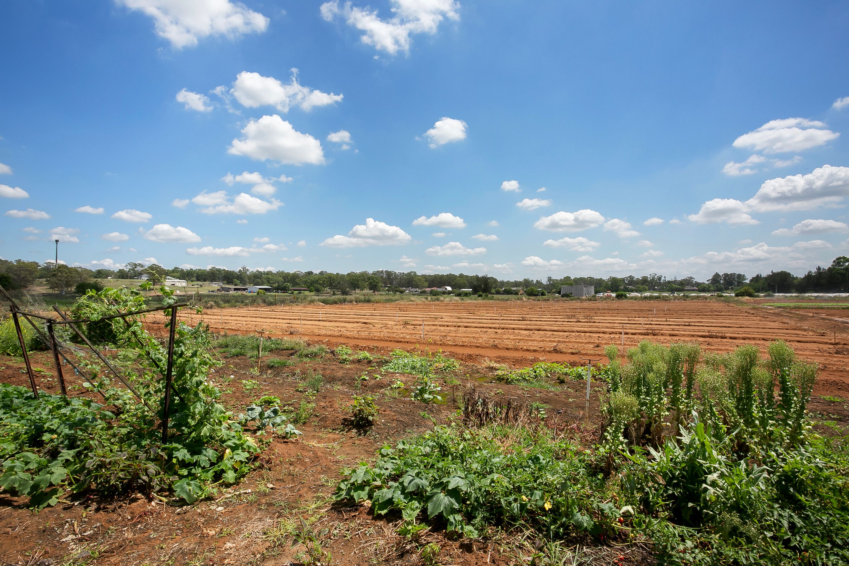 150 Sixth Avenue, Llandilo, NSW