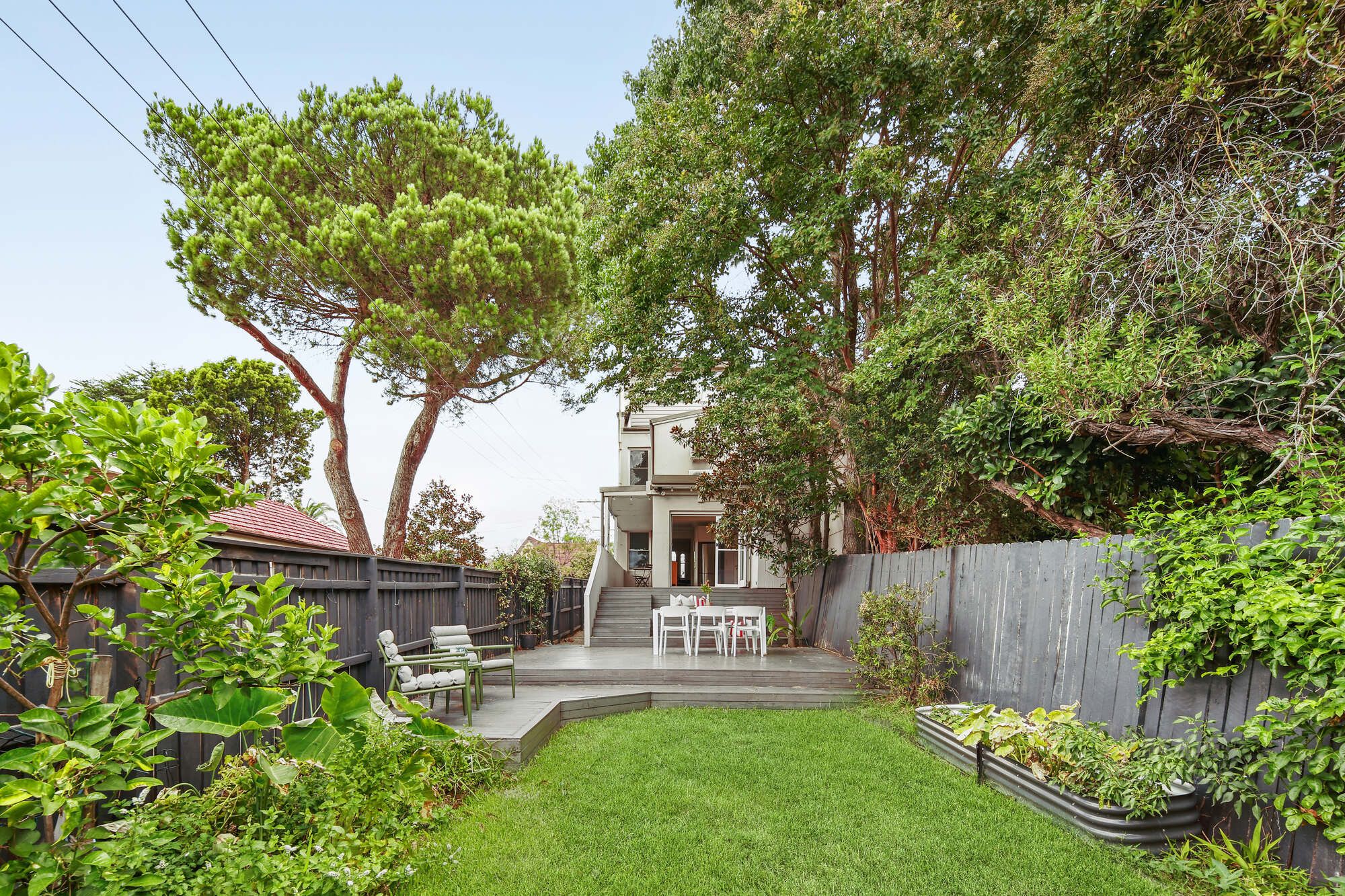 45 Frazer Street, Dulwich Hill, NSW 2203