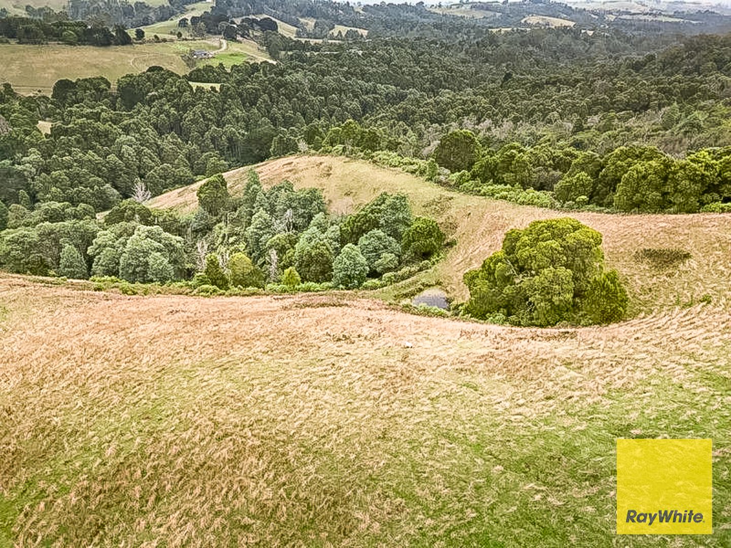 478 Foster-Mirboo Road, Dollar, VIC 3871