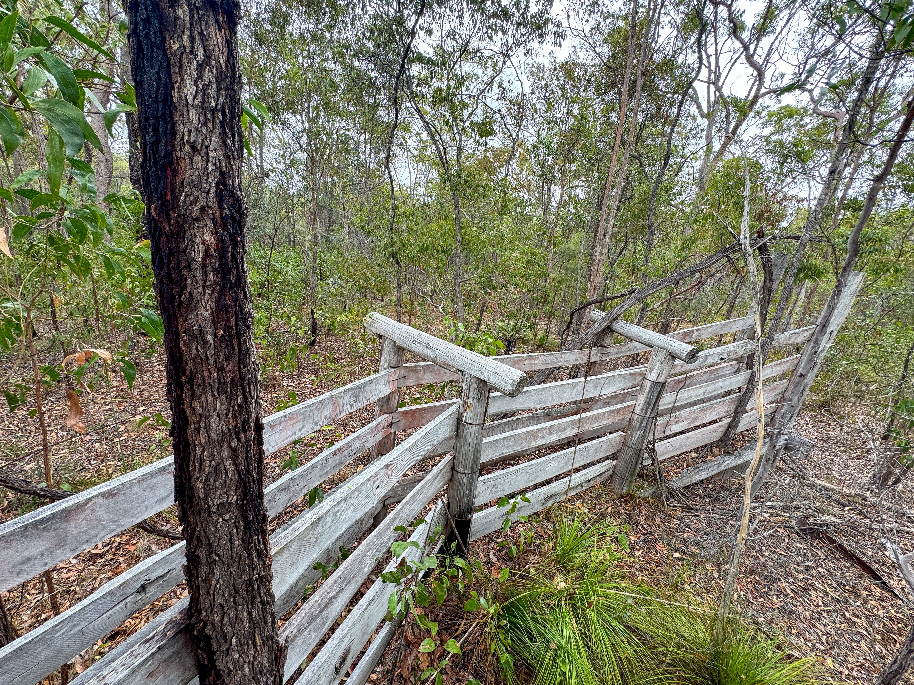757 Gorge Road — photo 13 of 29