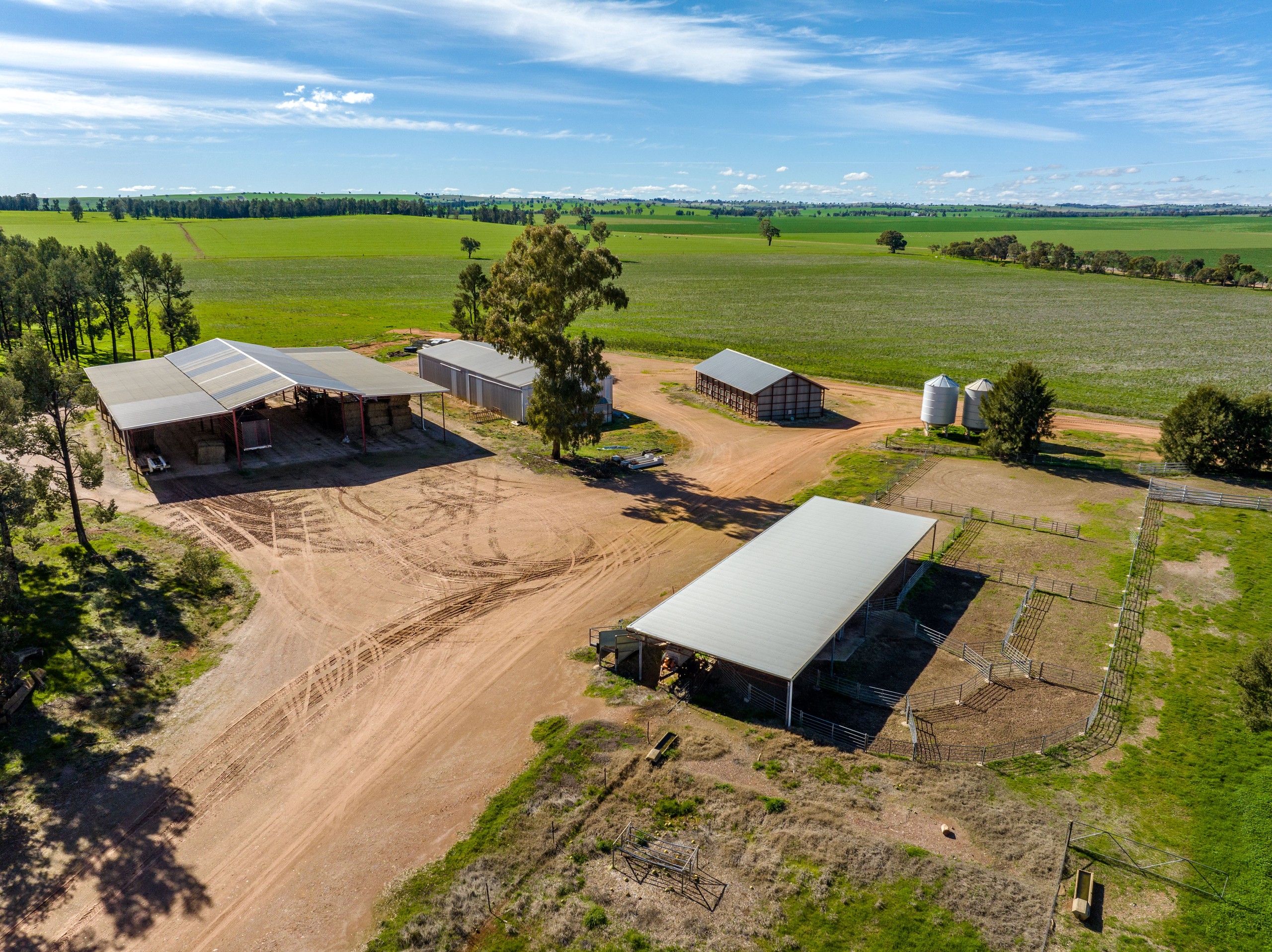 2214 Coolamon Road, Coolamon, NSW 2701