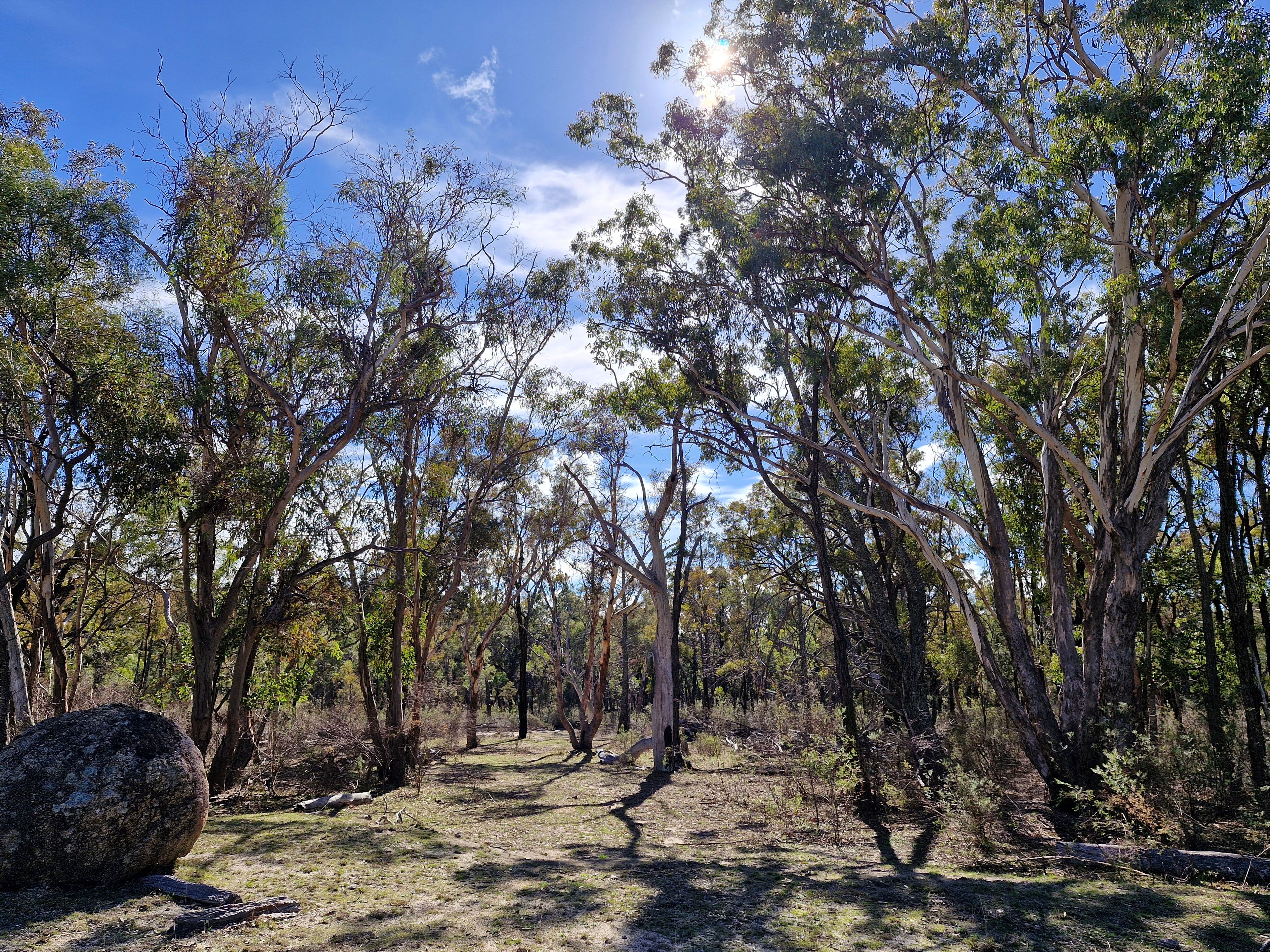 Lot 42 Ravensmoor Road — photo 9 of 13