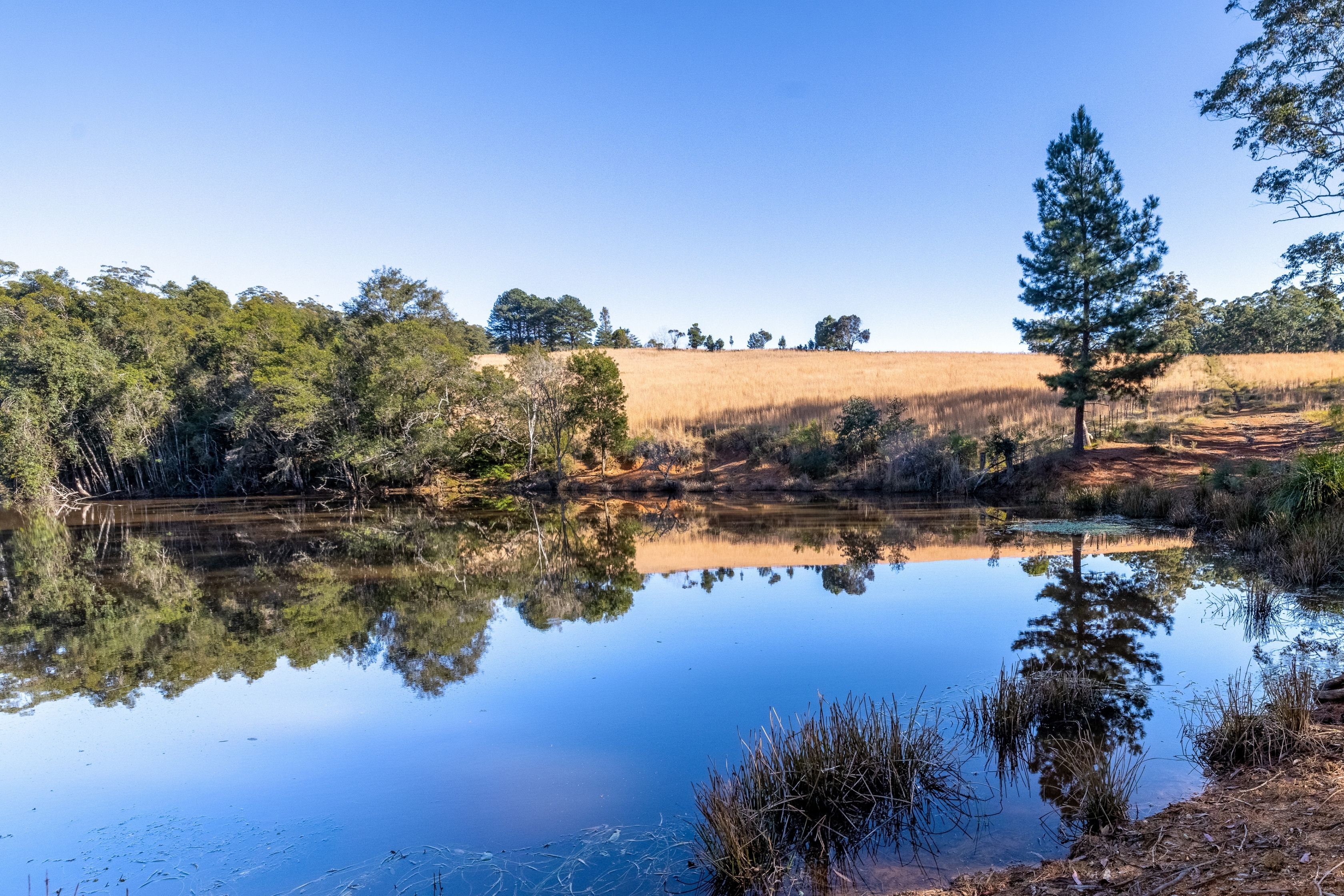 60 Sandy Knob Road, Elands, NSW 2429