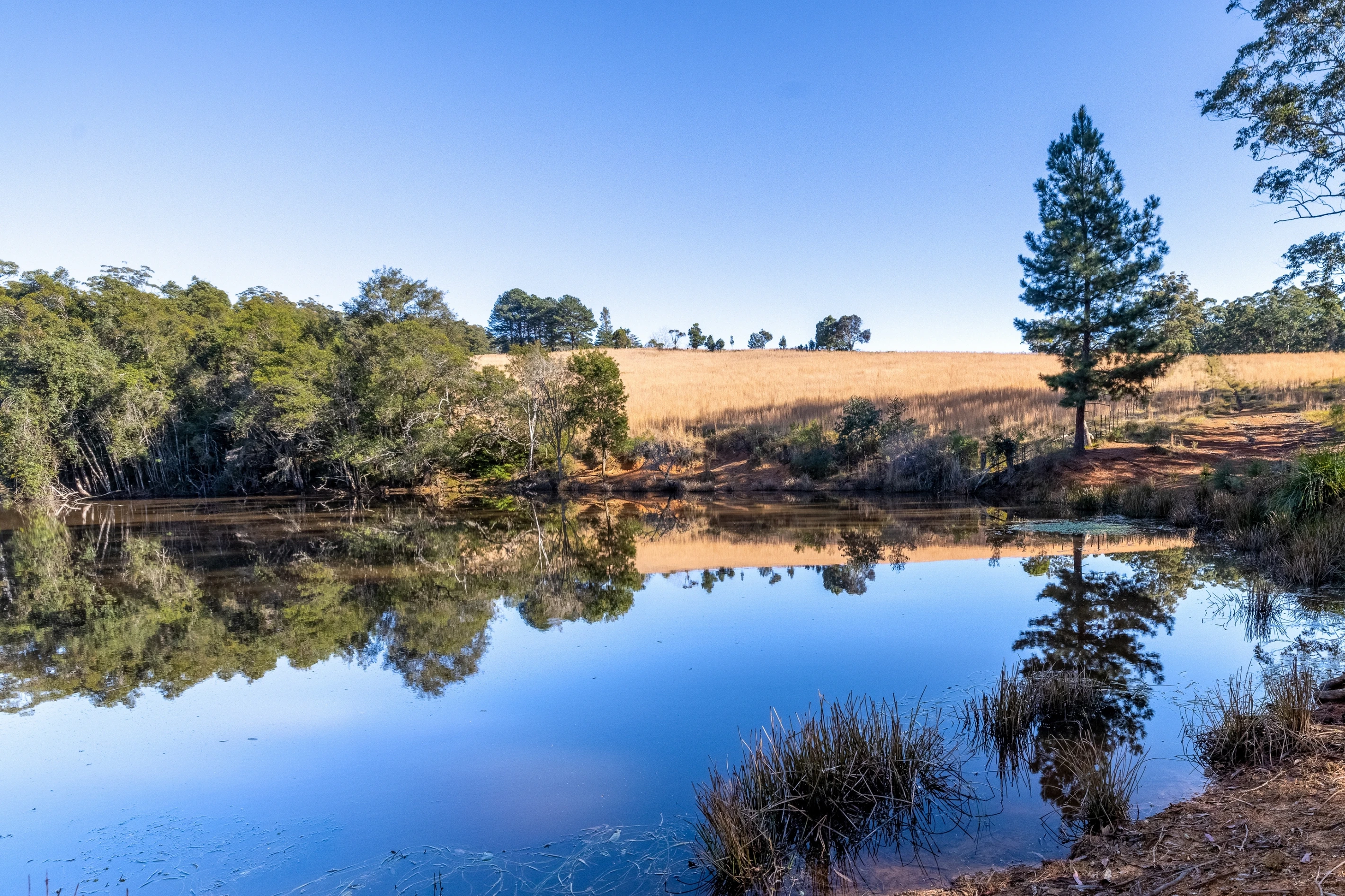 60 Sandy Knob Road, Elands, NSW 2429