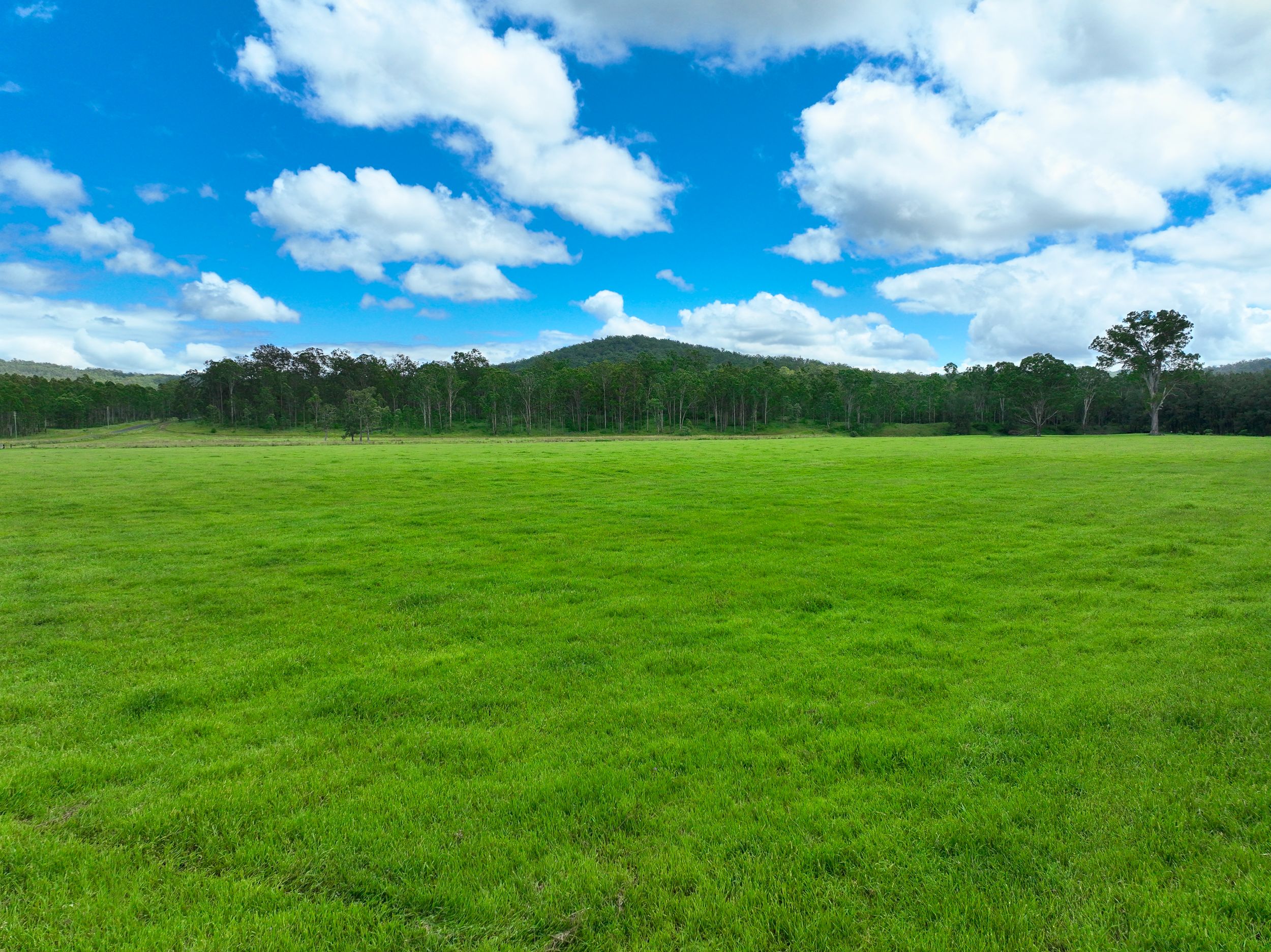 Lot 164 Paddys Flat Road, Tabulam, NSW 2469
