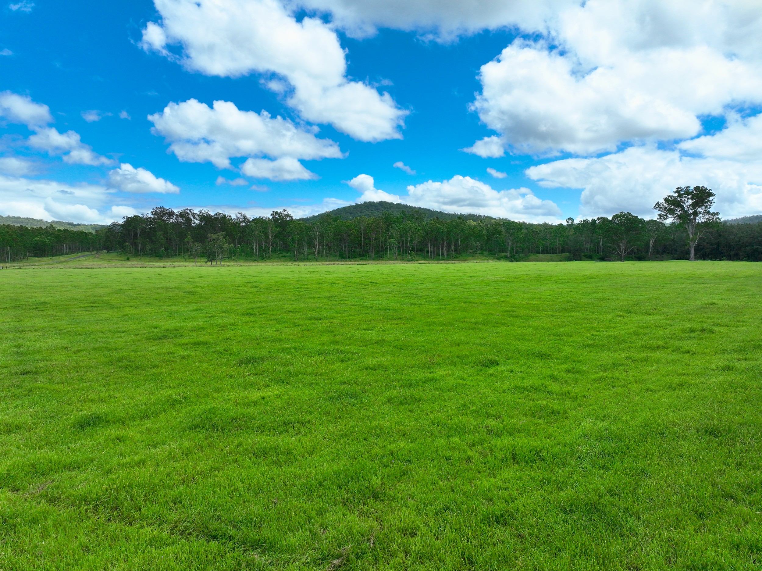 Lot 164 Paddys Flat Road, Tabulam, NSW 2469