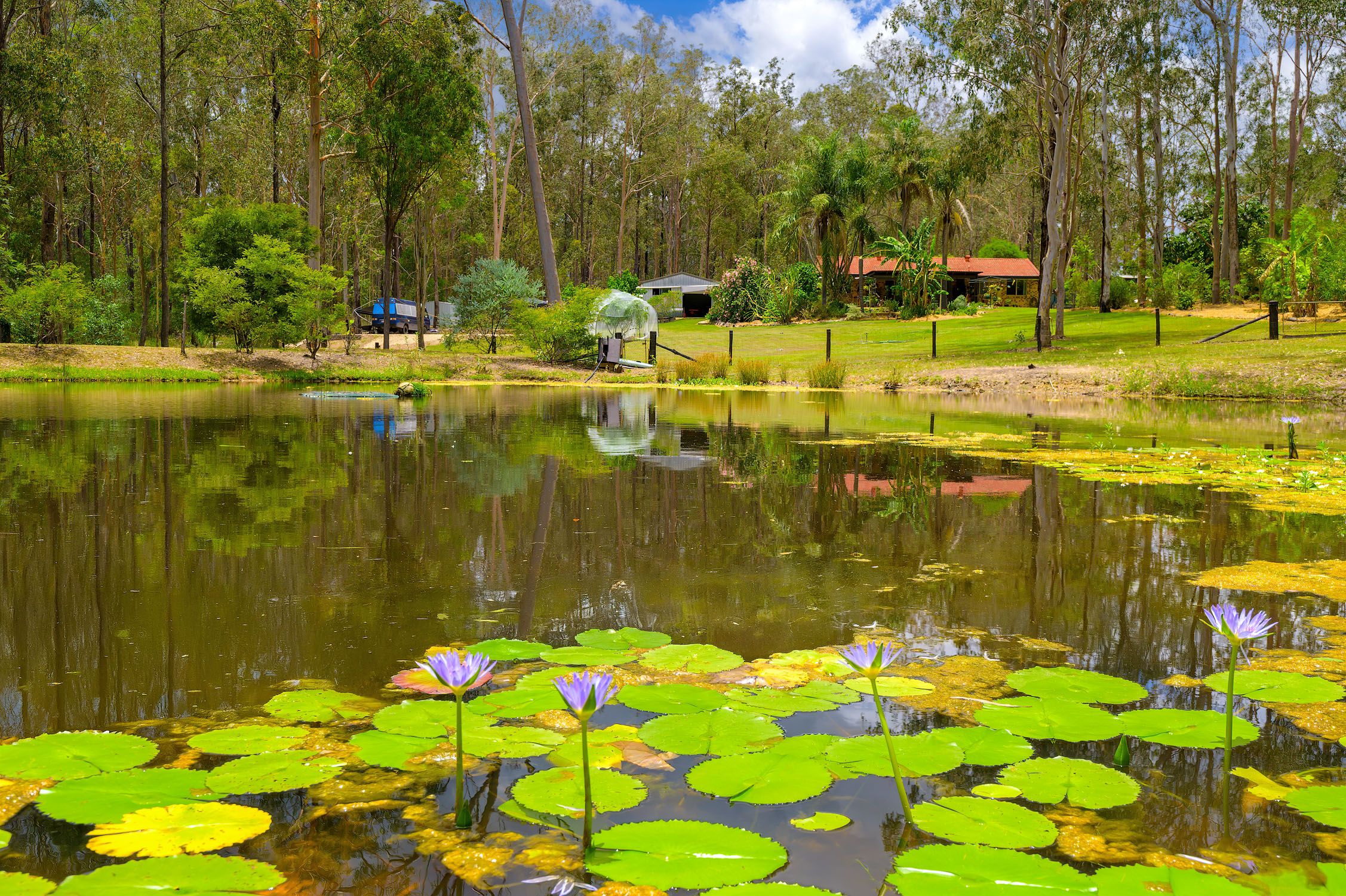 15 Arborseventeen Road — photo from Ray White Gympie