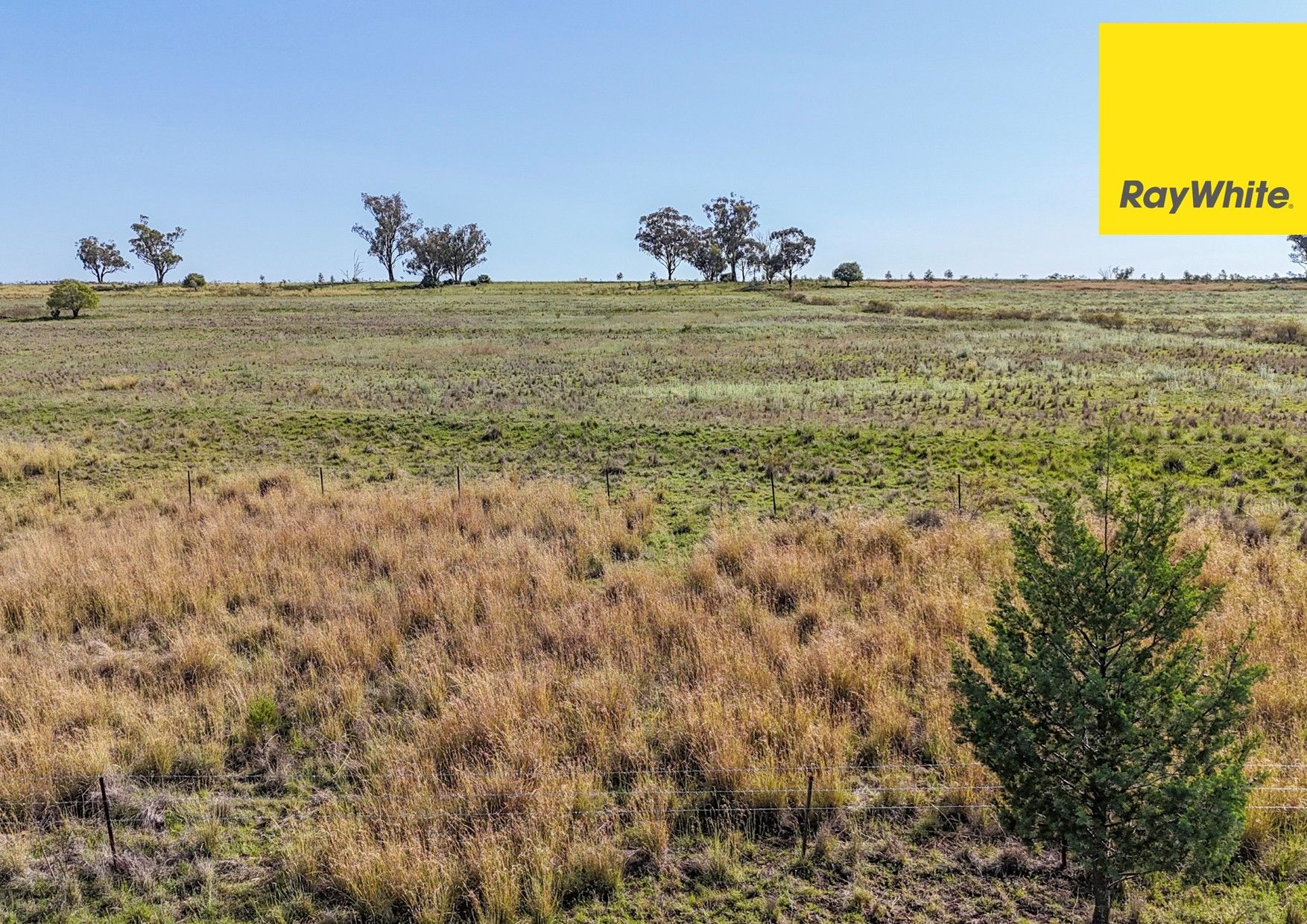 600 Blyths Lane, Delungra, NSW 2403