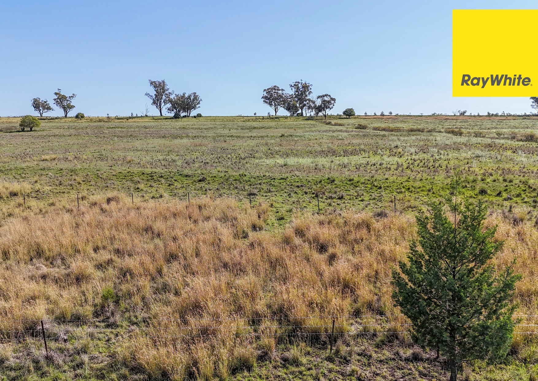 600 Blyths Lane, Delungra, NSW 2403