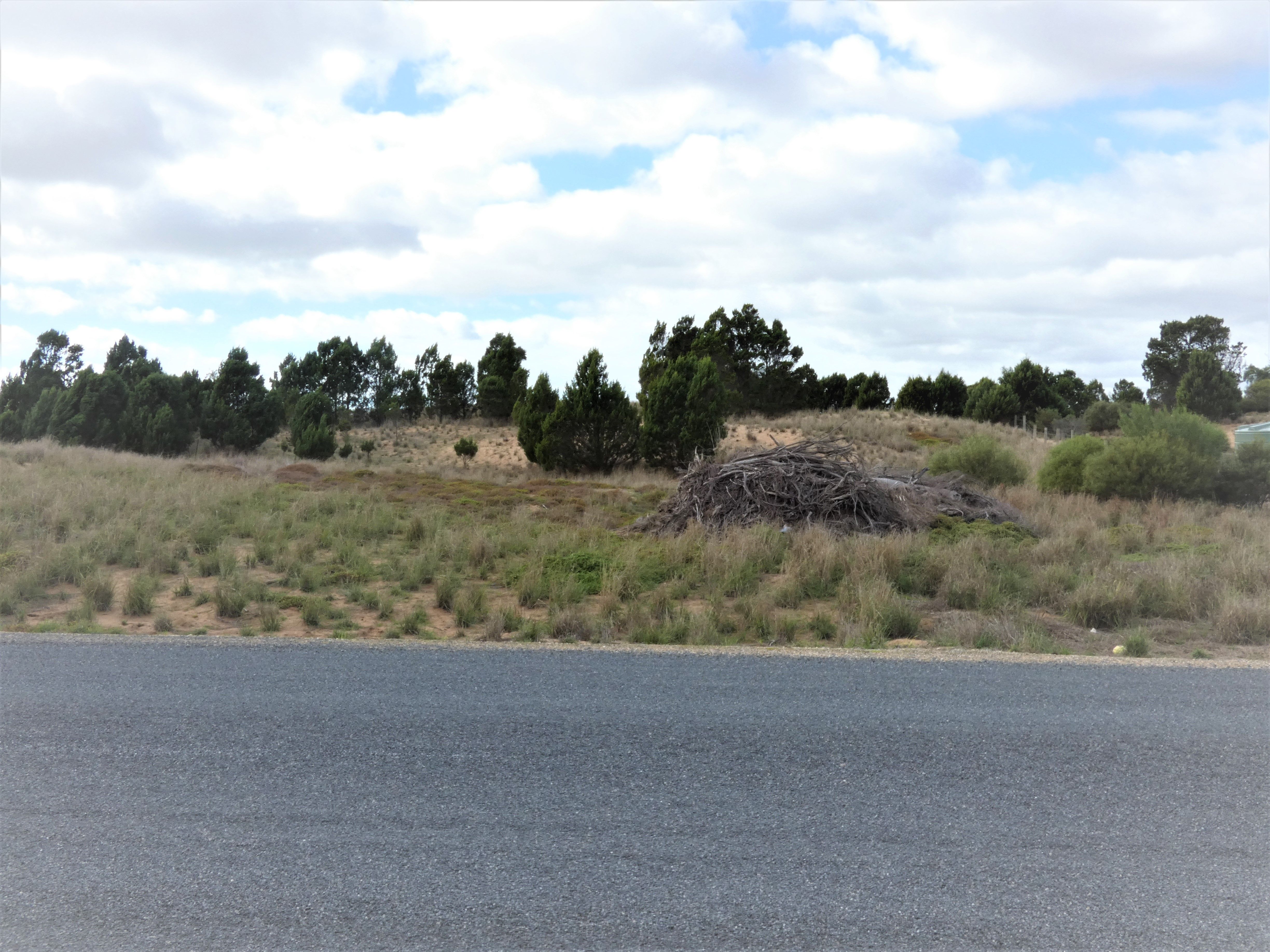 Lot 801 Riley Road, Wellington East, SA 5259