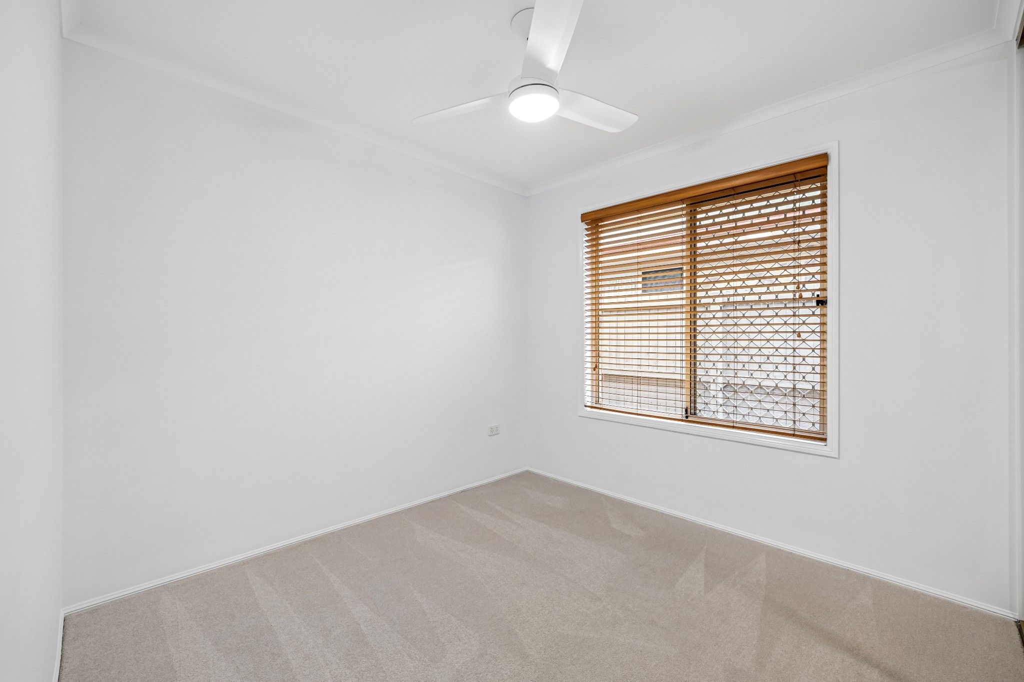 6 Mclennan Street — photo 14 of 29