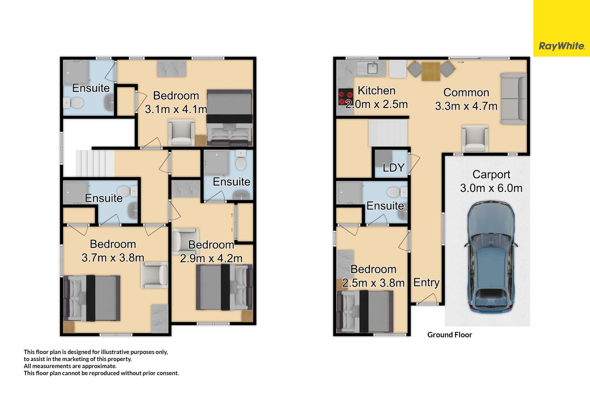 5/85 Cameron Road photo 20