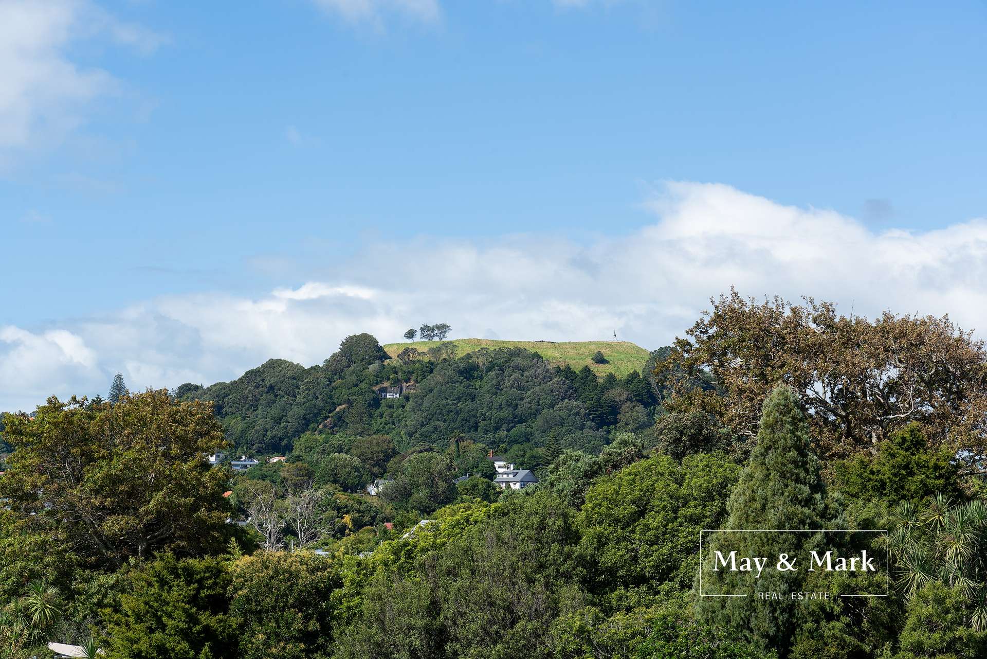 314/428 Dominion Road photo 11