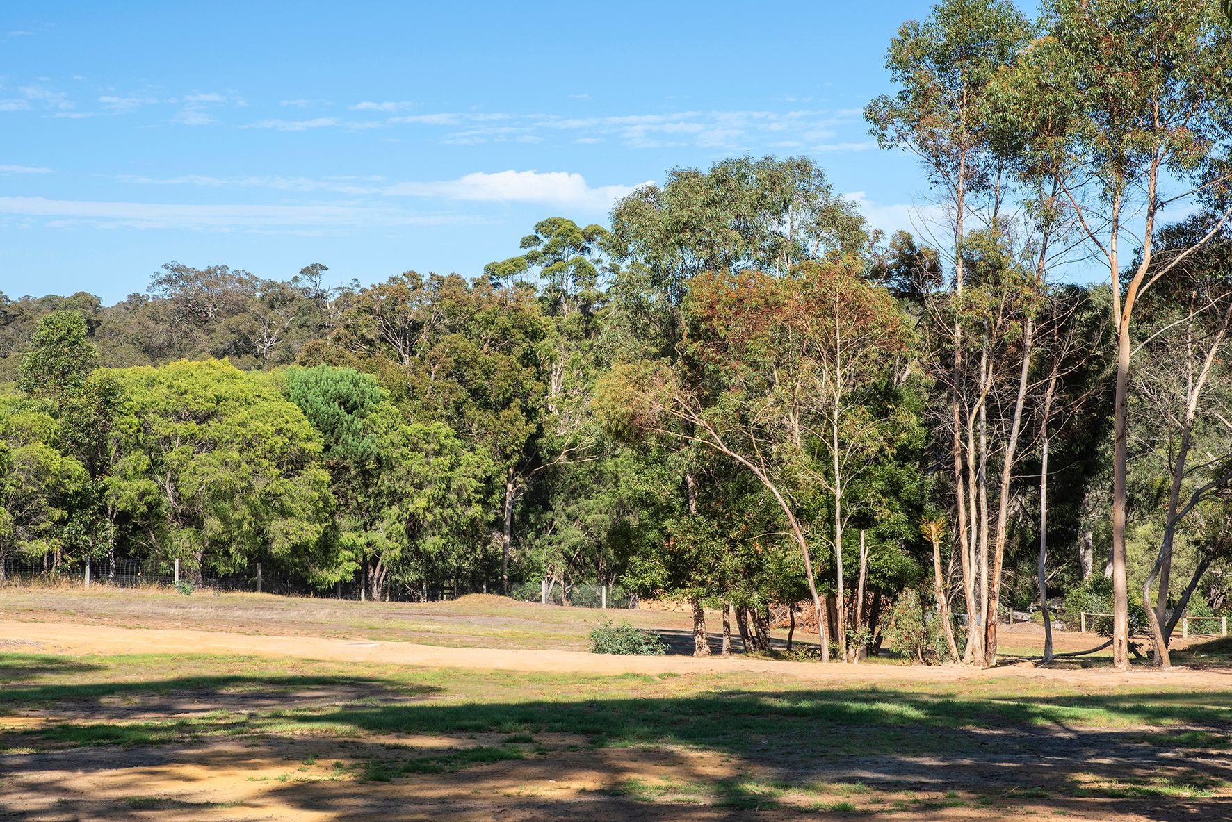 114 Ashton Street, Margaret River, WA 6285 Land for Sale Ray White