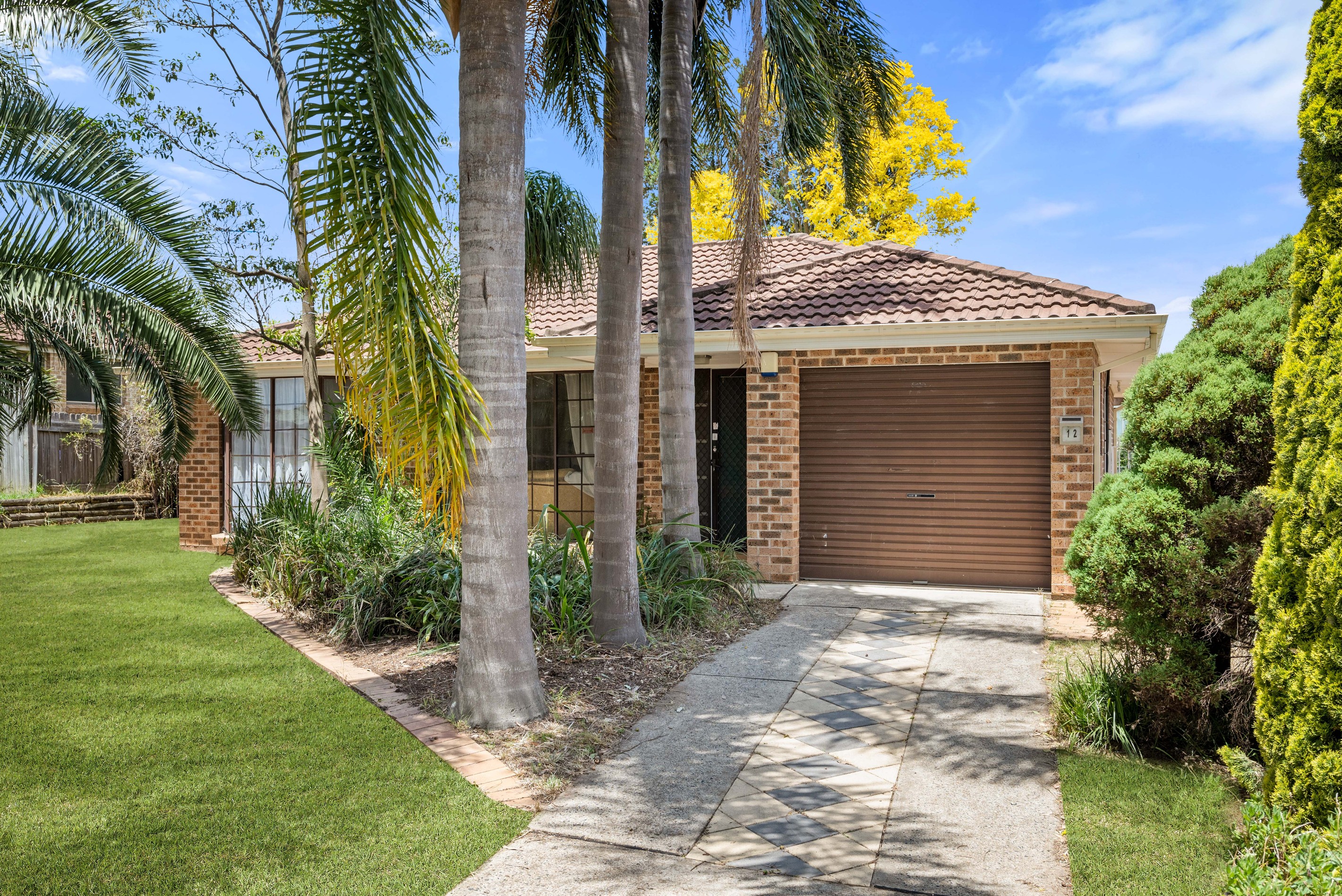 12 Astelia Street, Macquarie Fields, NSW 2564