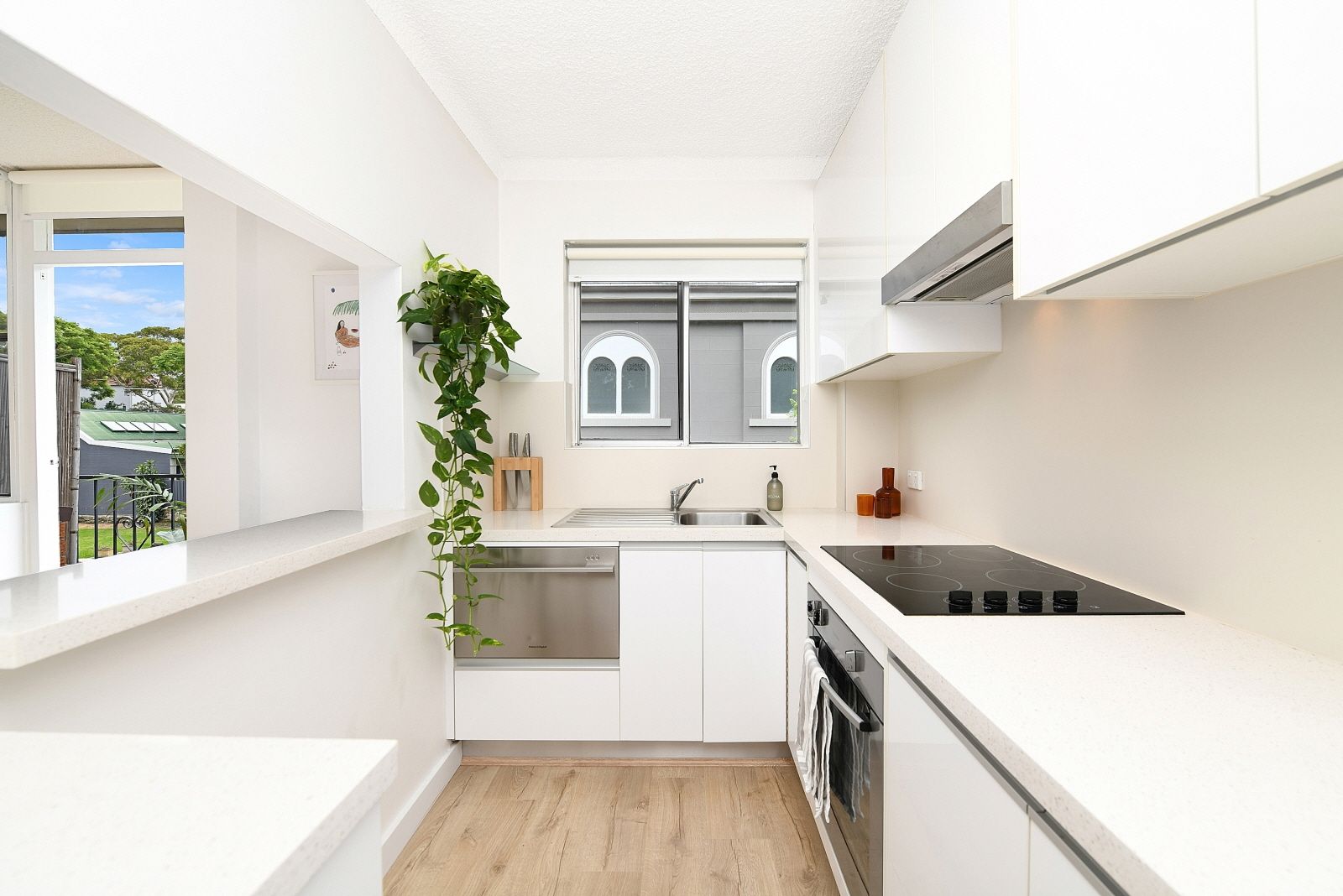 7/258 Johnston Street, Annandale, NSW 2038