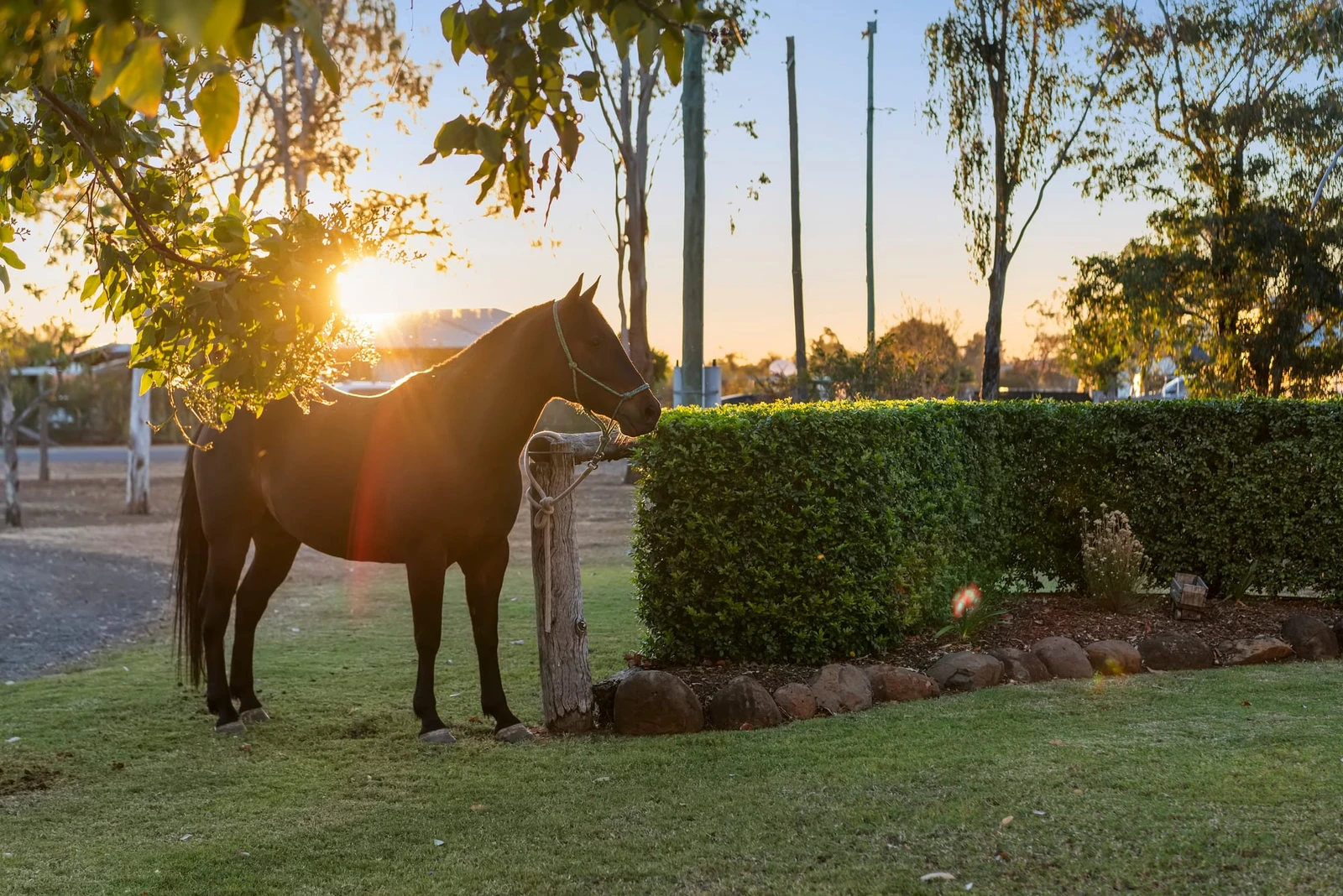 229 Branch Creek Road, Dalby, QLD 4405