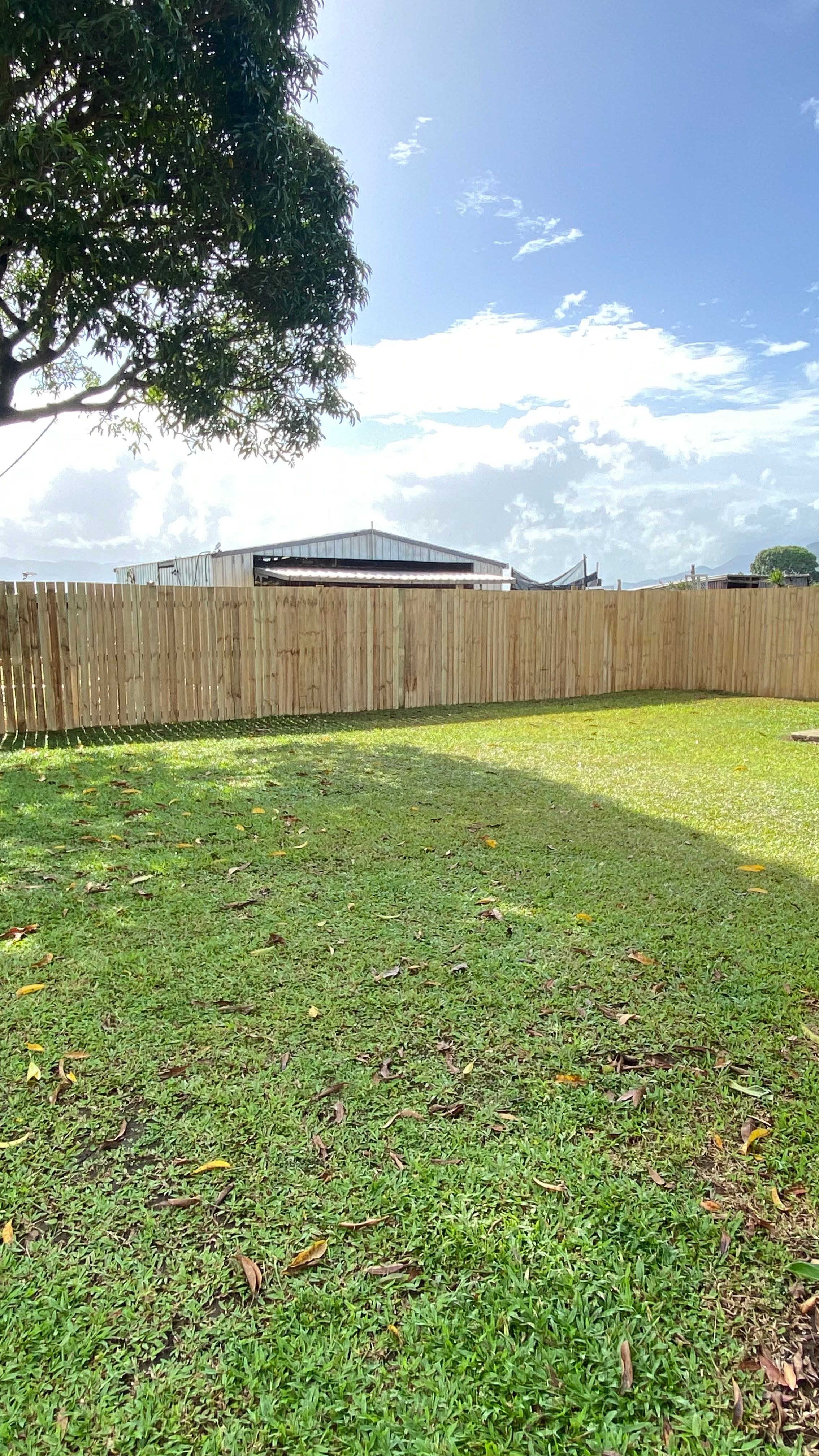 31 Campbell Street, Gordonvale, QLD 4865