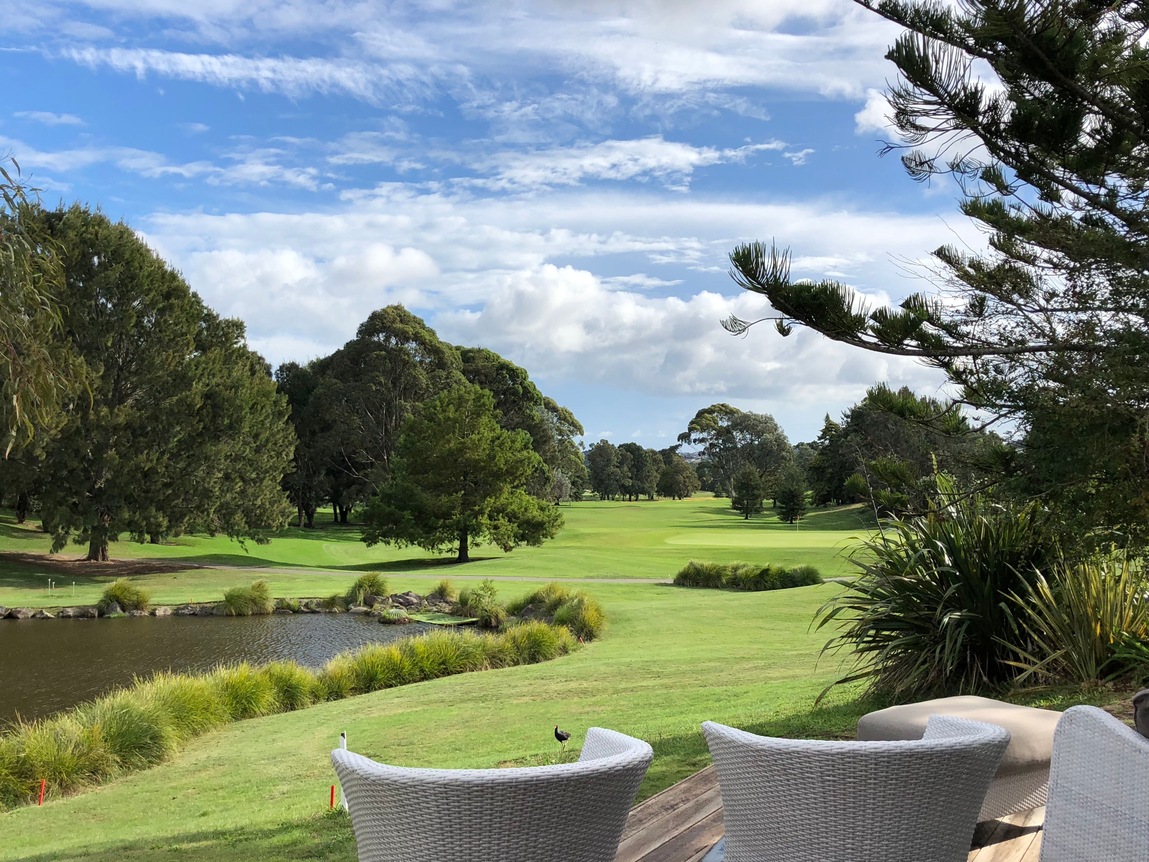 11C Greenbank Drive, St Johns, Auckland City