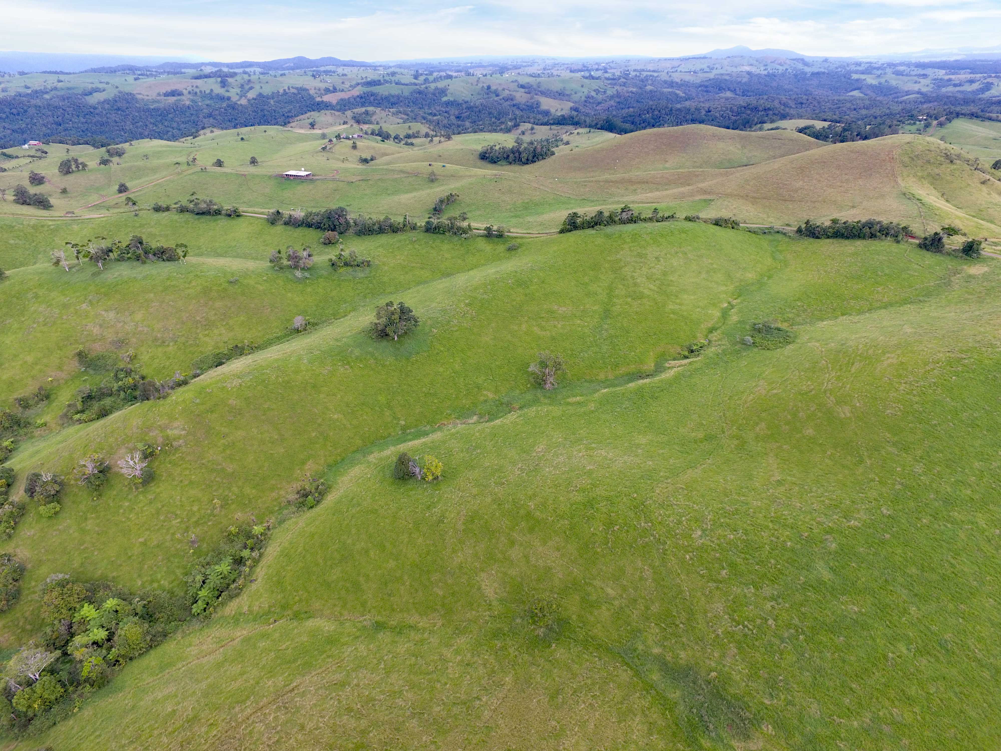 Tarzali, QLD 4885 Sold Rural Property Ray White Rural Atherton